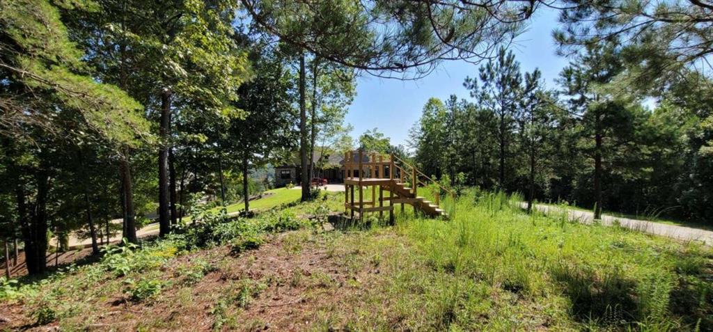 915 Edgewater Trail Toccoa, GA 30577 - Photo 7 of 22 a big yard with lots of green space and trees