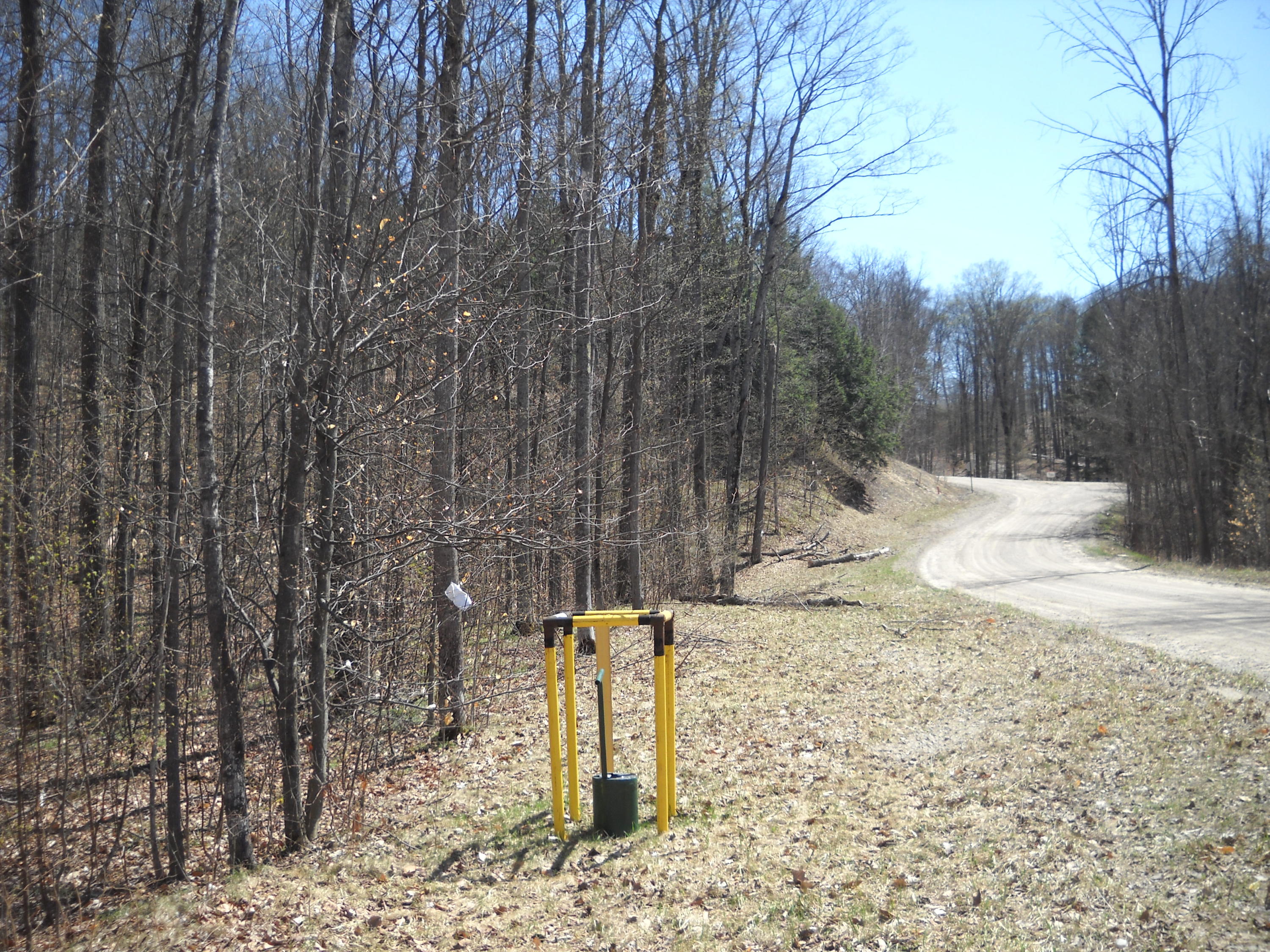 Currie Road Atlanta, MI 49709 - Photo 10 of 11 Gallery Image 10