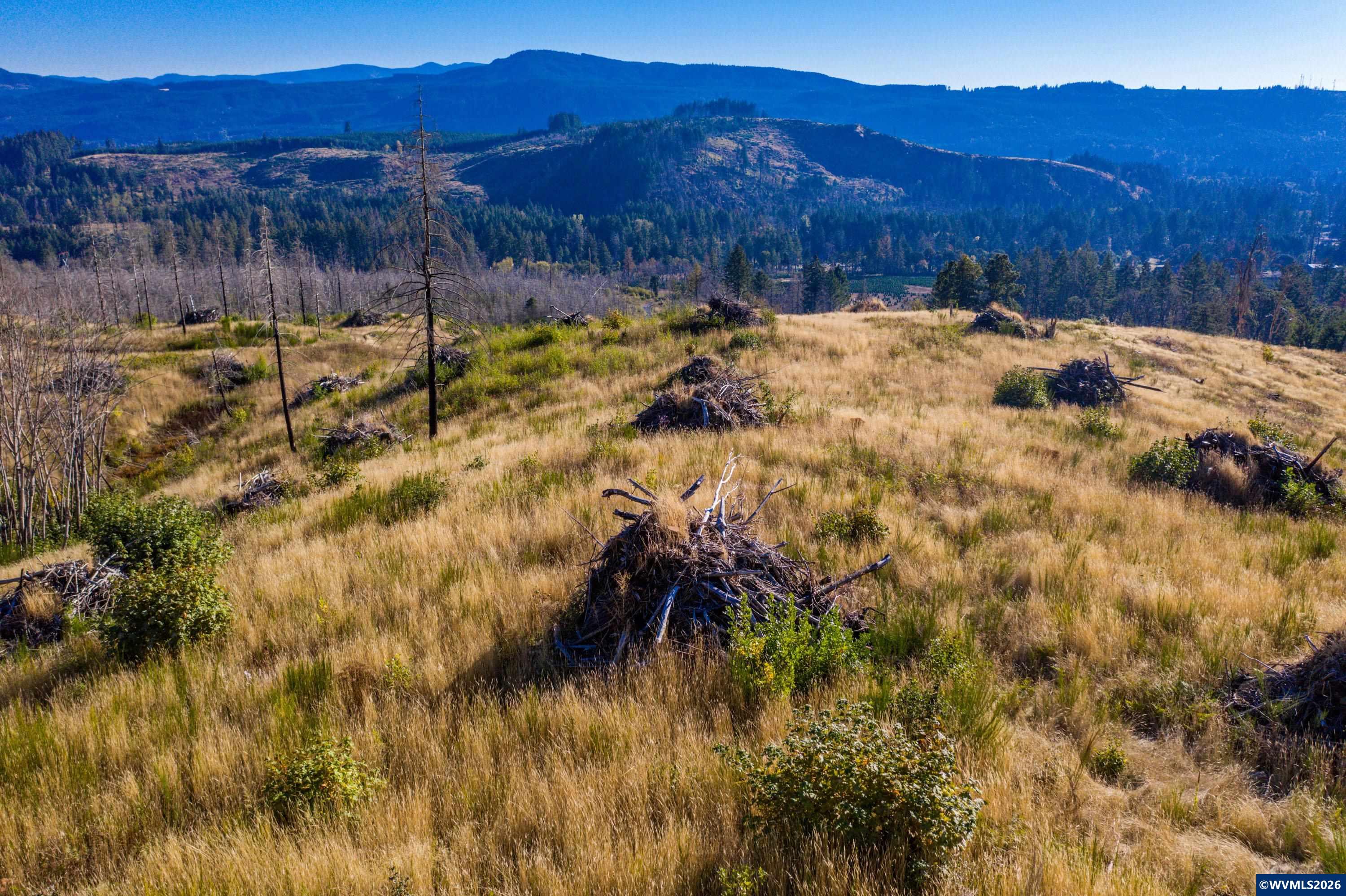 10915 Southeast Kubin Road Lyons, OR 97358 - Photo 18 of 37 a view of a backyard of a house