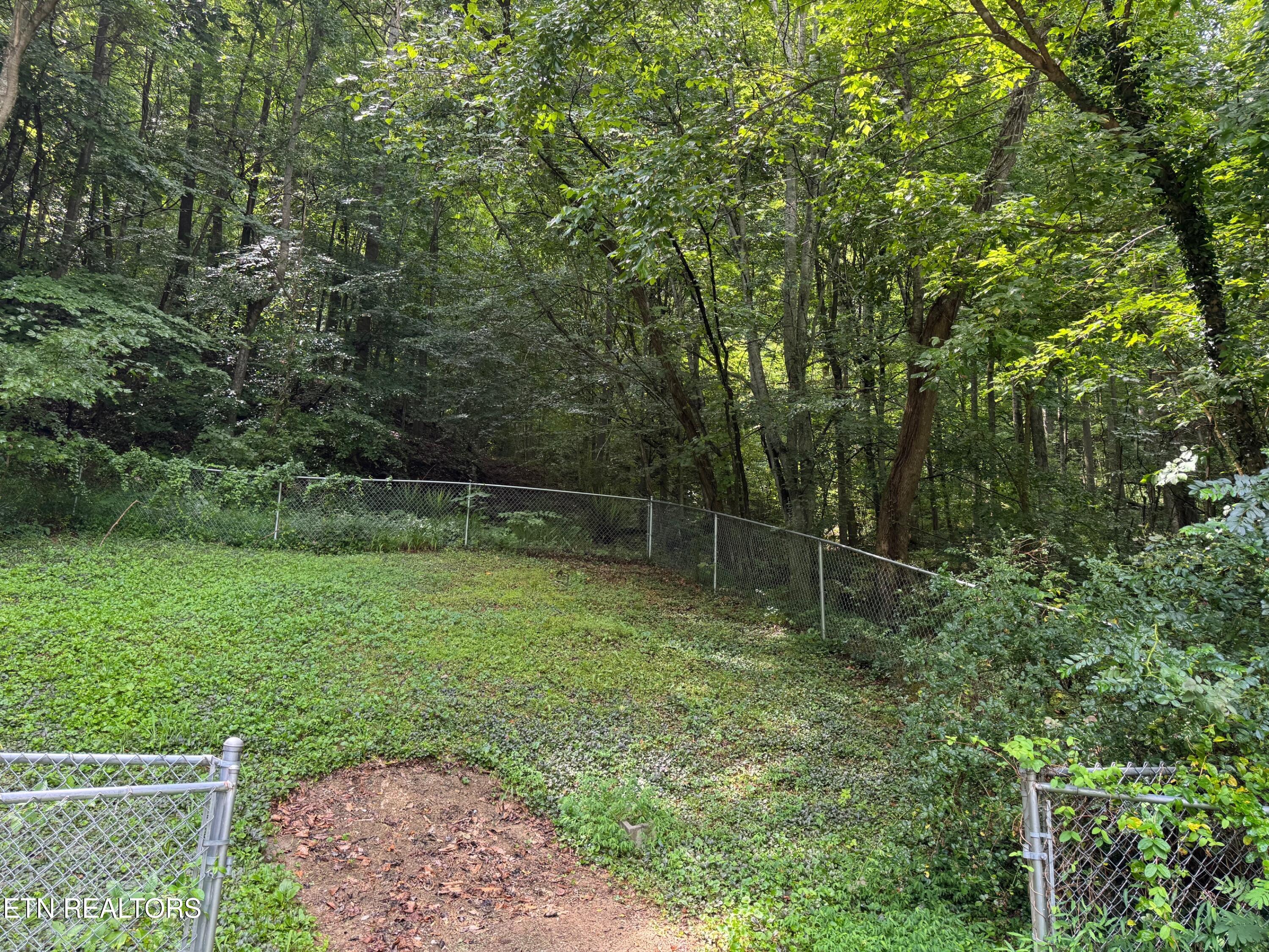 652 Indian Mountain Road Jellico, TN 37762 - Photo 5 of 21 Back Yard