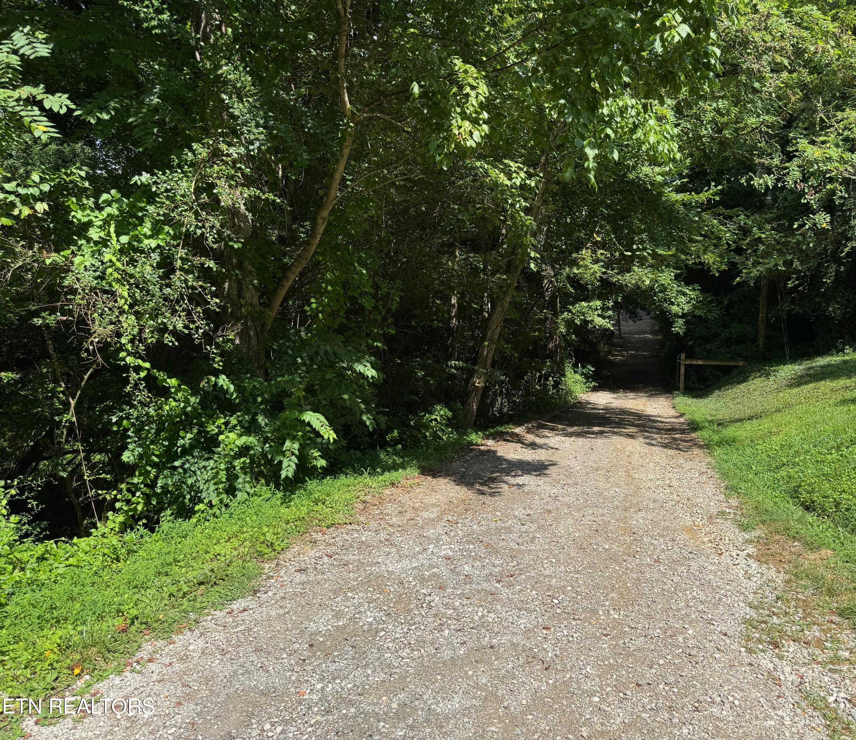 652 Indian Mountain Road Jellico, TN 37762 - Photo 6 of 21 Driveway