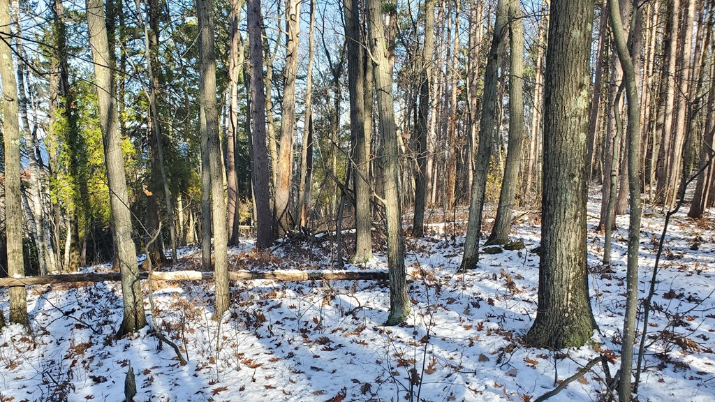Lot 3 High Bluff Estates Road Sturgeon Bay, WI 54235 - Photo 5 of 6