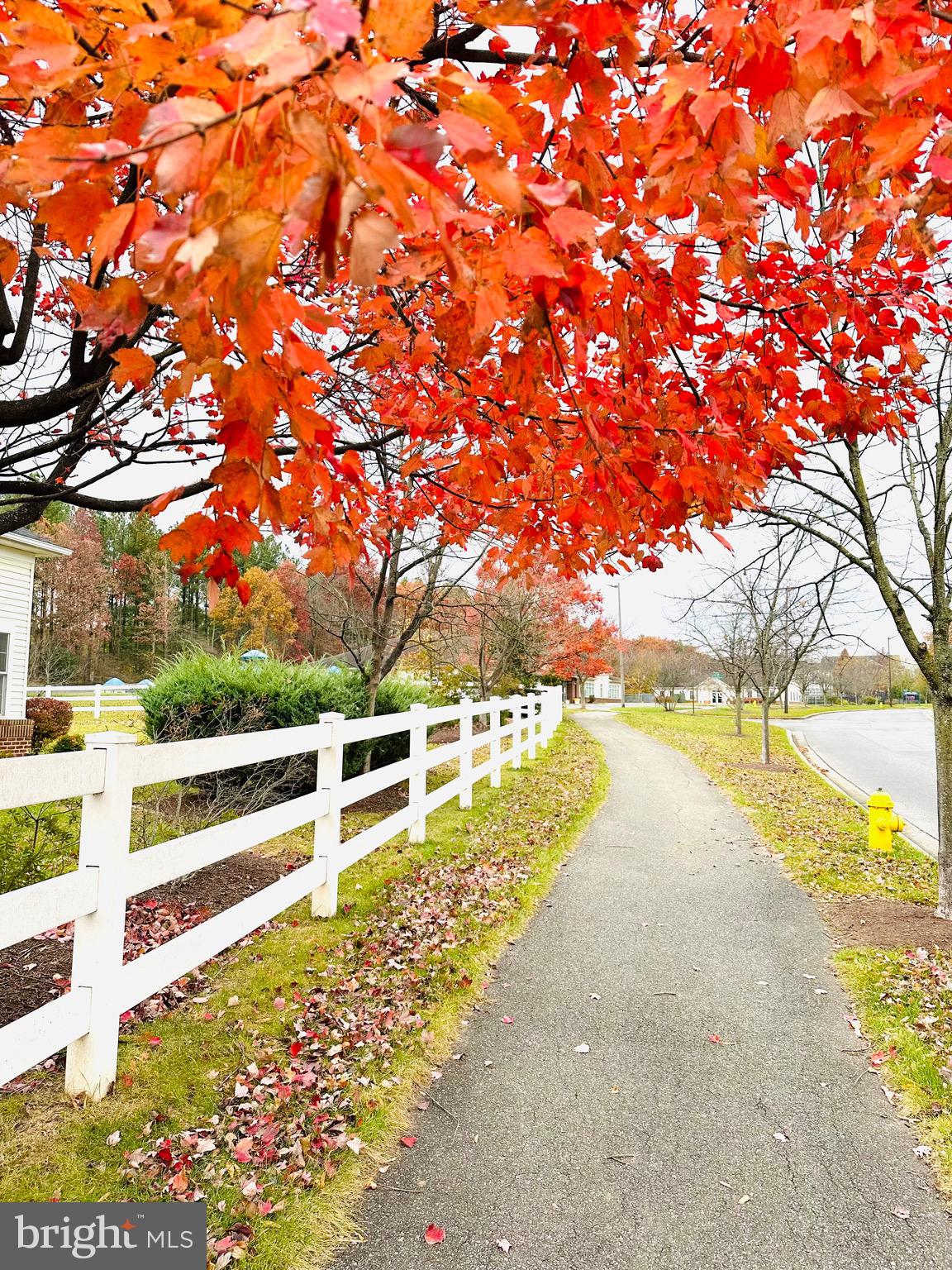 2013 Astilbe Way, Unit 2013 Odenton, MD 21113 - Photo 61 of 61 a view of ocean with large tree