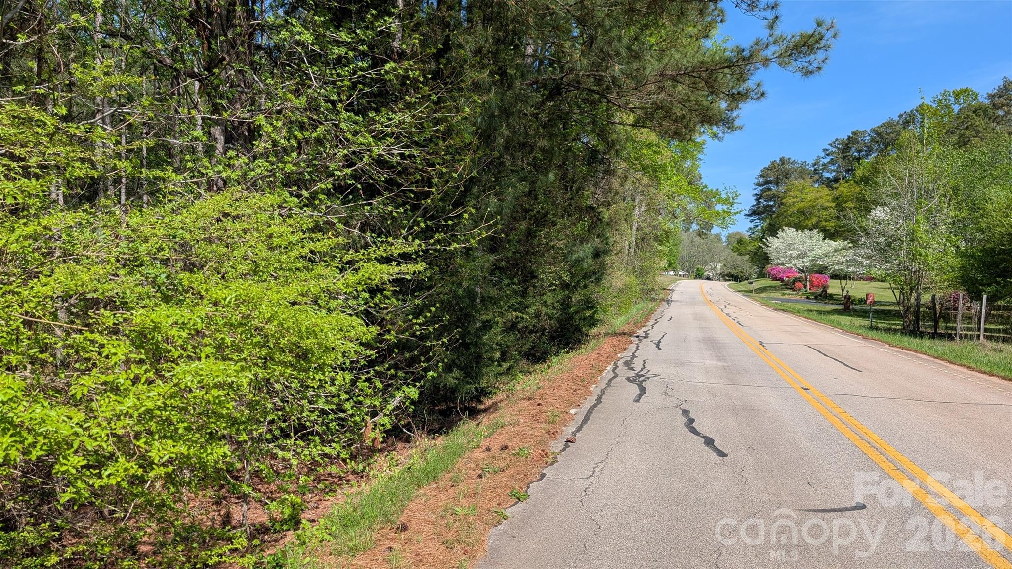 a view of a yard with plants