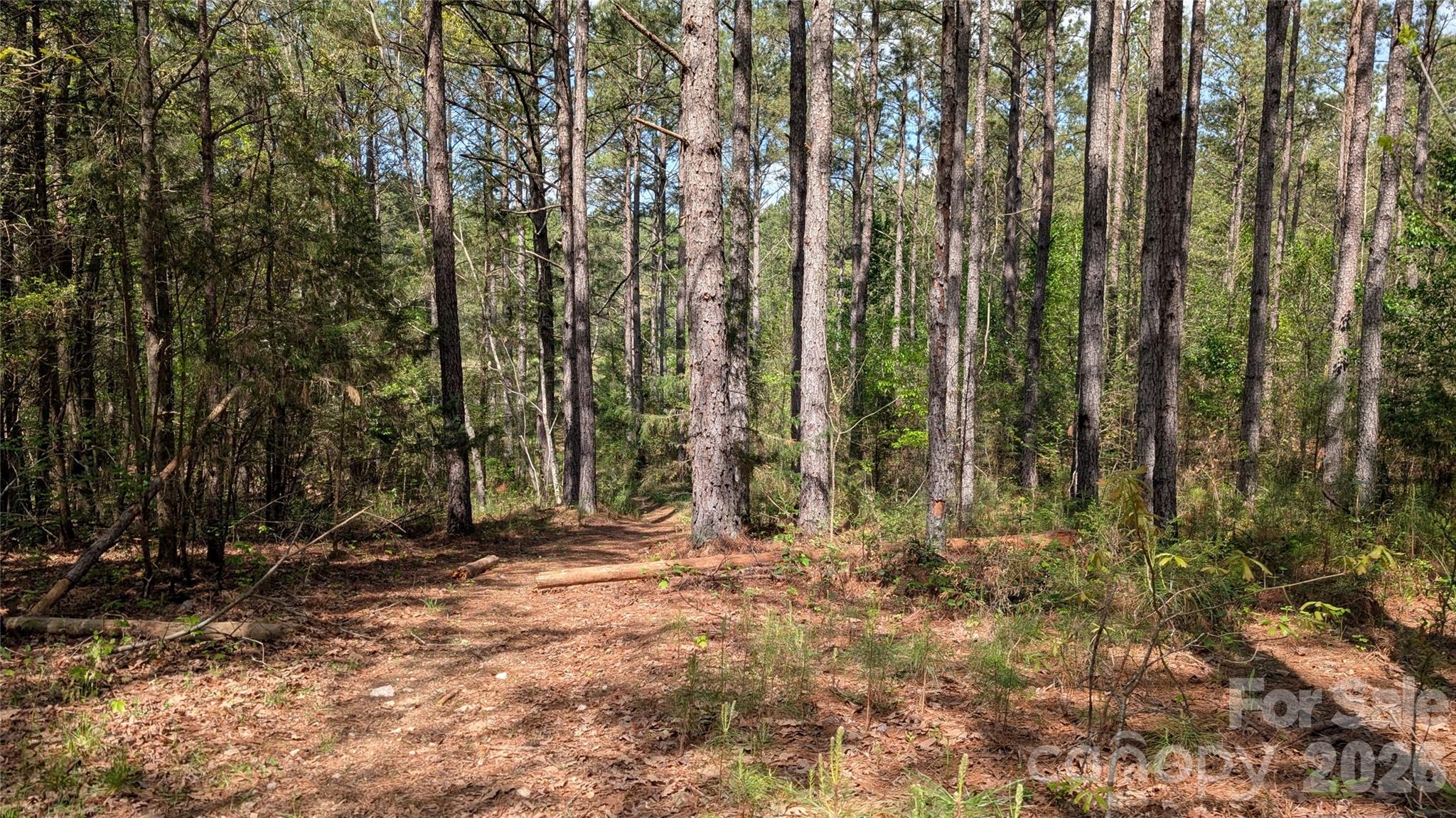 Tbd Boyd Road Blackstock, SC 29014 - Photo 11 of 21 a view of outdoor space and yard