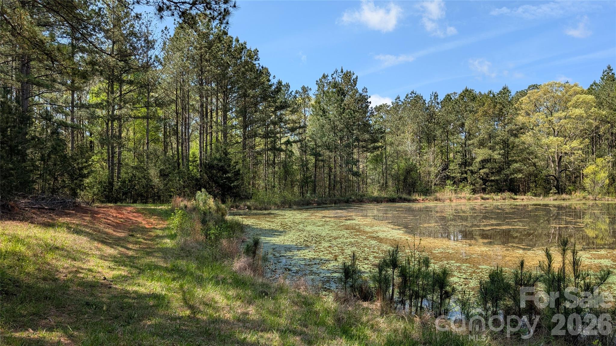 Tbd Boyd Road Blackstock, SC 29014 - Photo 13 of 21 a view of a yard with mountain