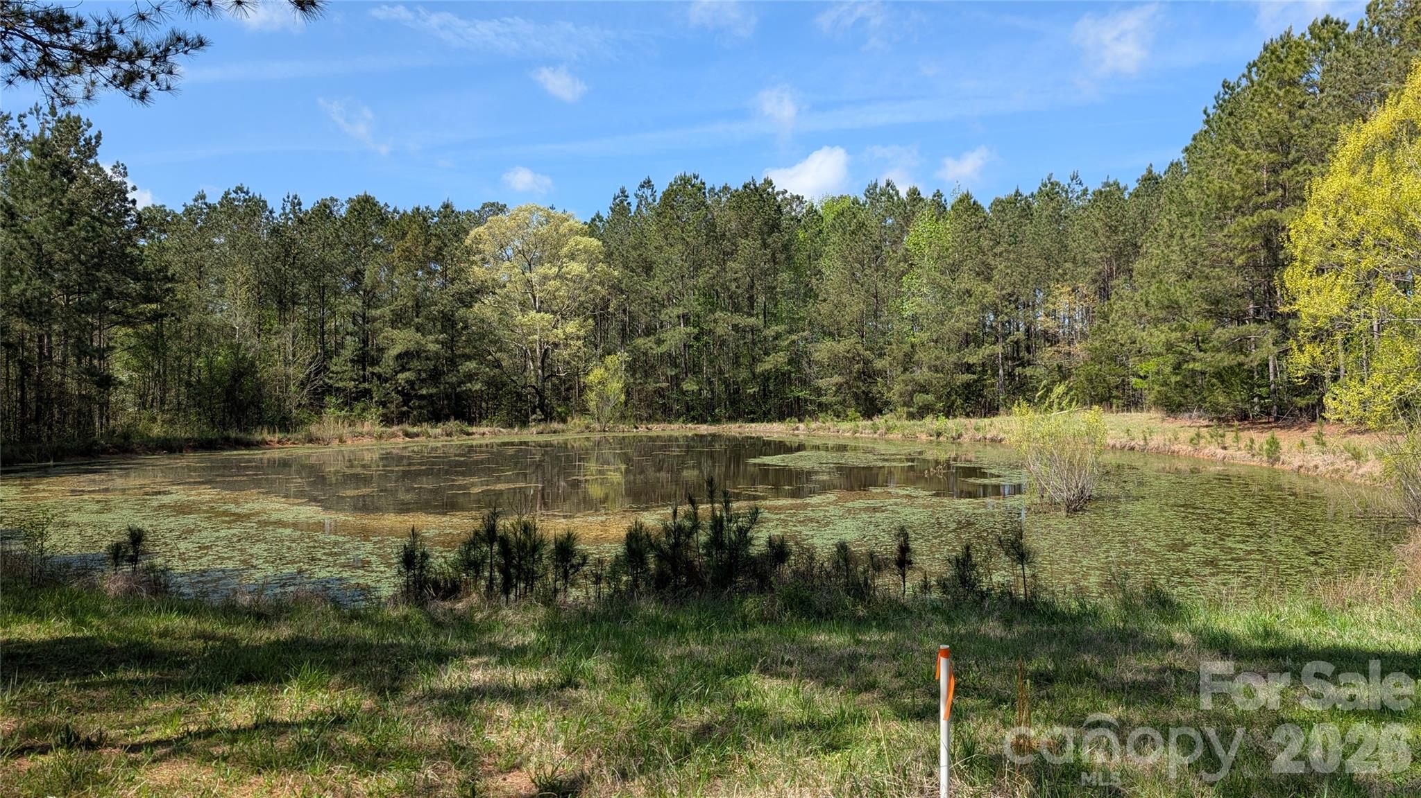 Tbd Boyd Road Blackstock, SC 29014 - Photo 14 of 21 a view of lake with green space