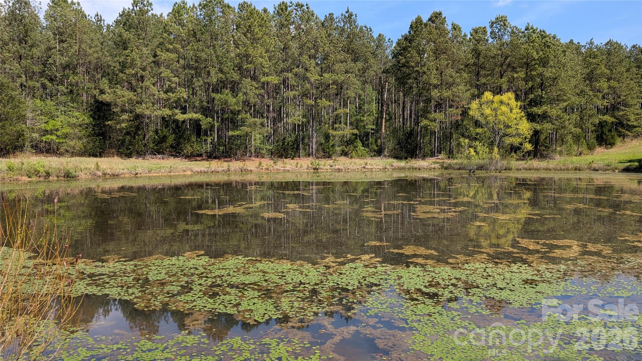 Tbd Boyd Road Blackstock, SC 29014 - Photo 15 of 21 a view of a lake view