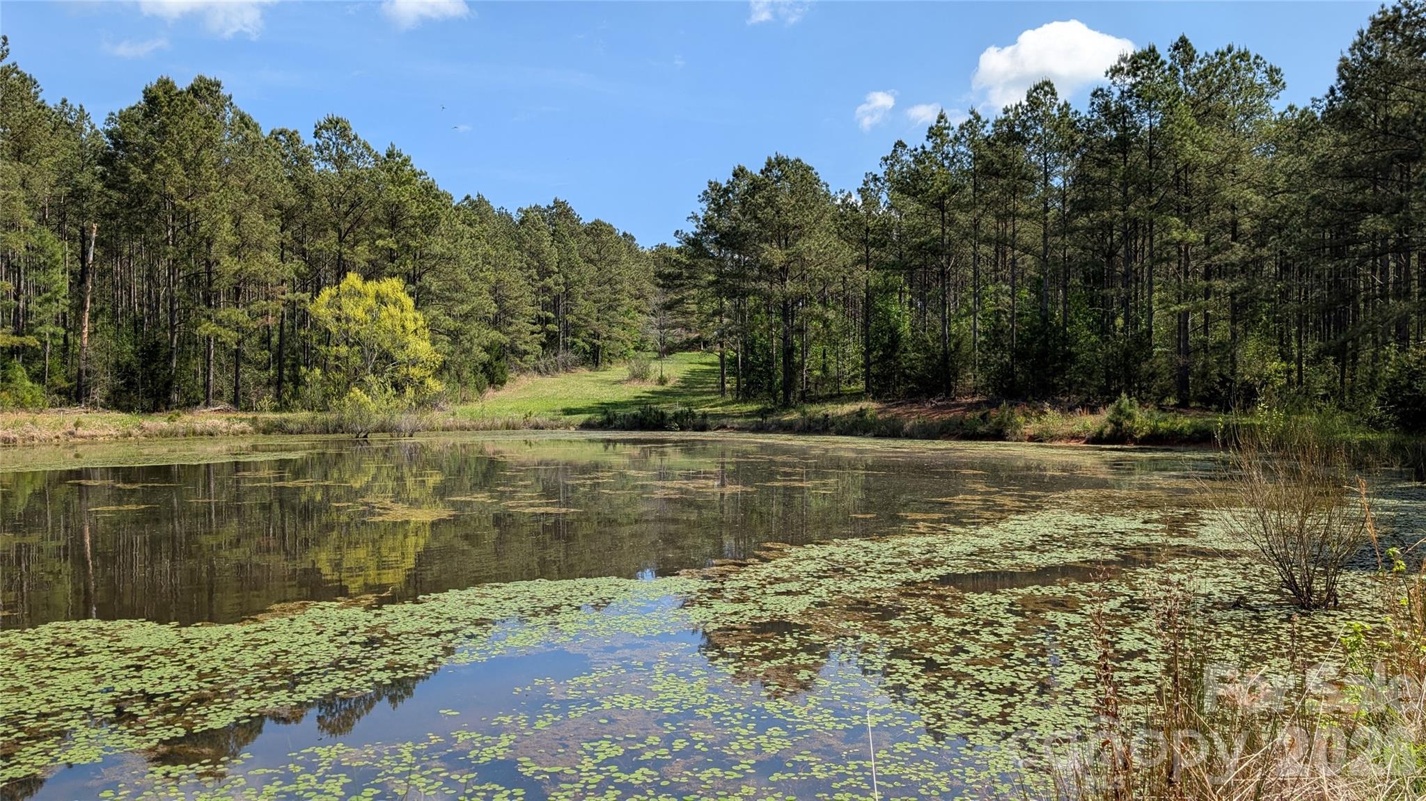 Tbd Boyd Road Blackstock, SC 29014 - Photo 16 of 21 a view of lake