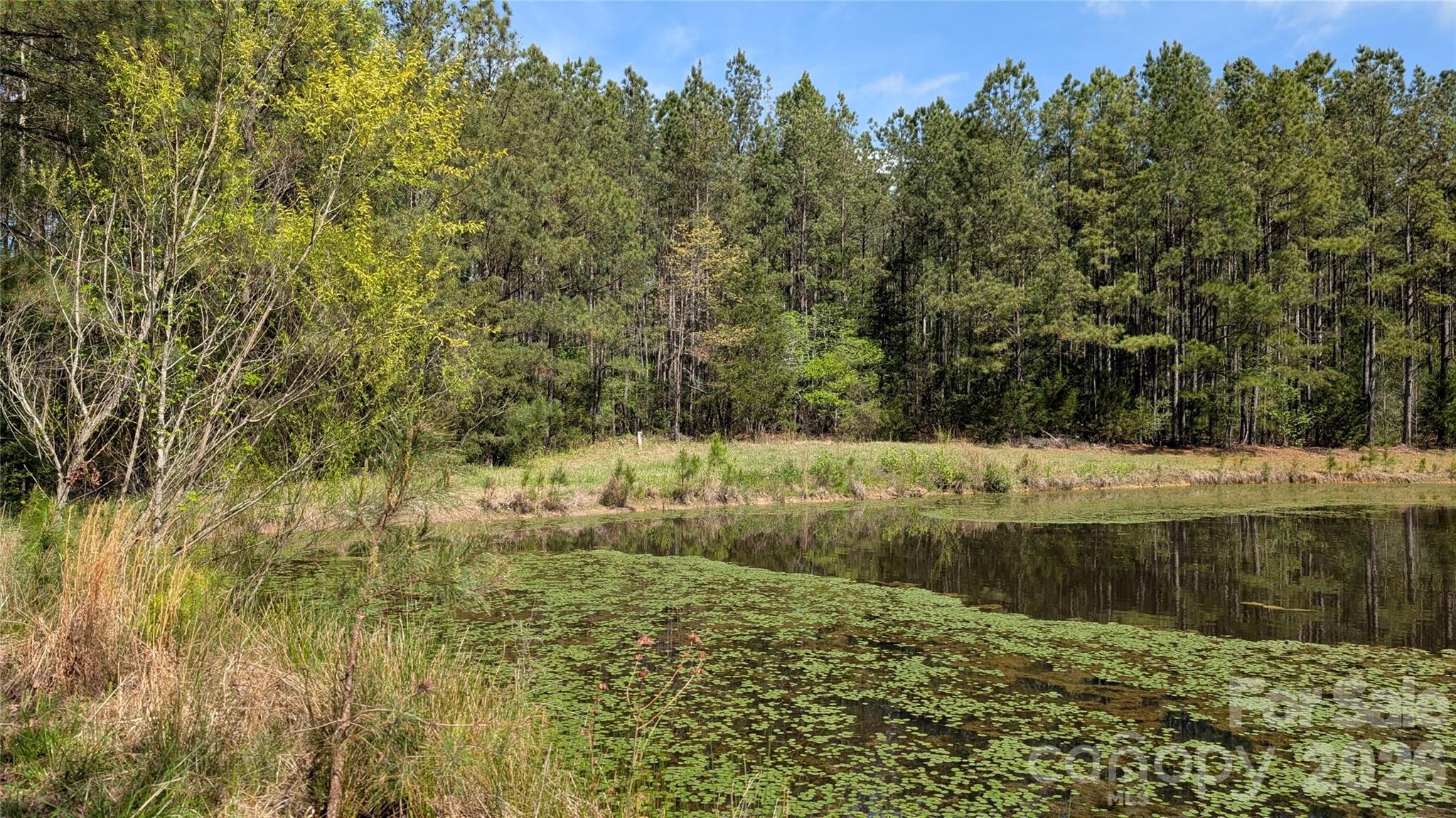 Tbd Boyd Road Blackstock, SC 29014 - Photo 17 of 21 a view of a lake view