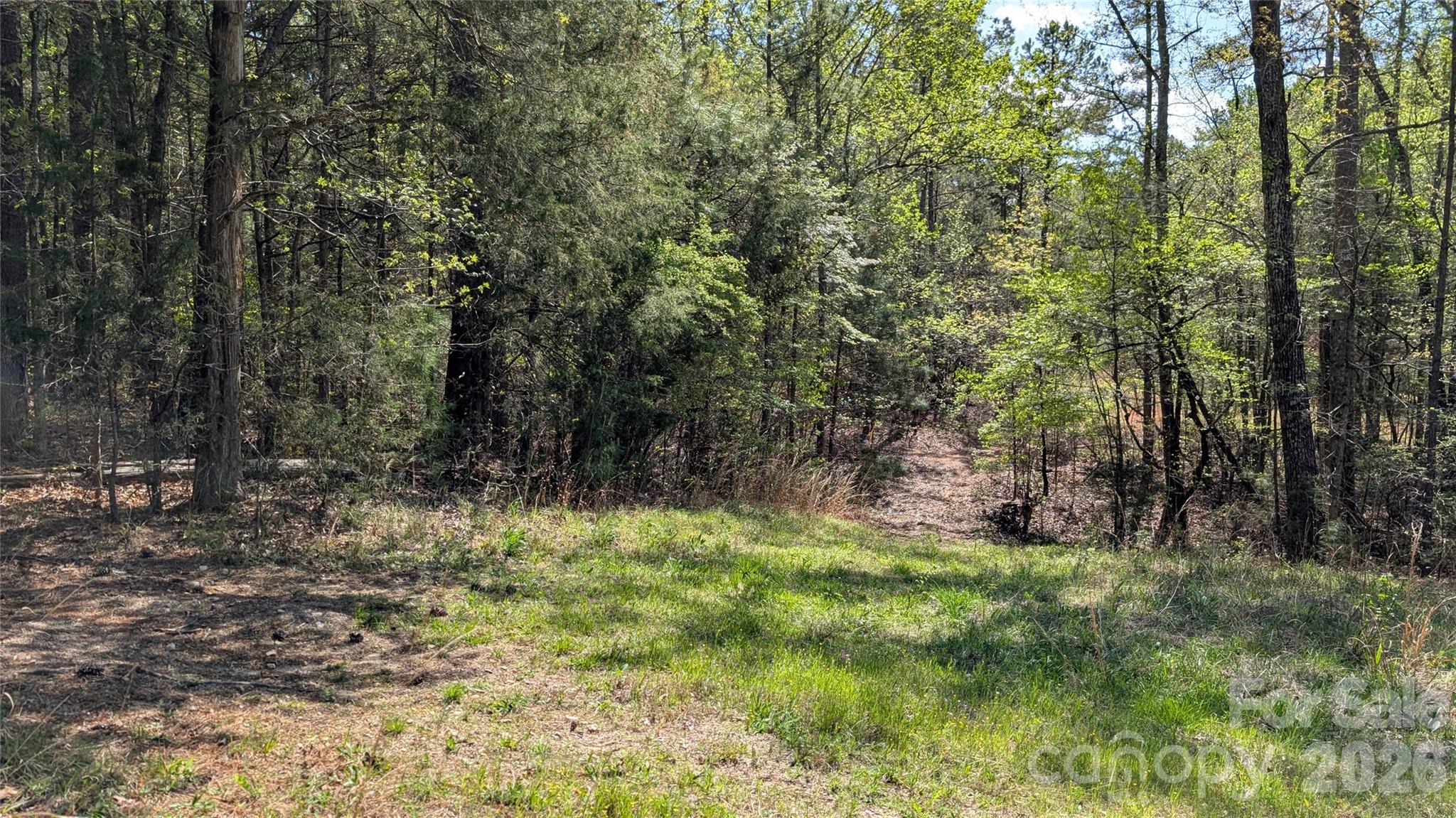 Tbd Boyd Road Blackstock, SC 29014 - Photo 20 of 21 a large green field with lots of trees