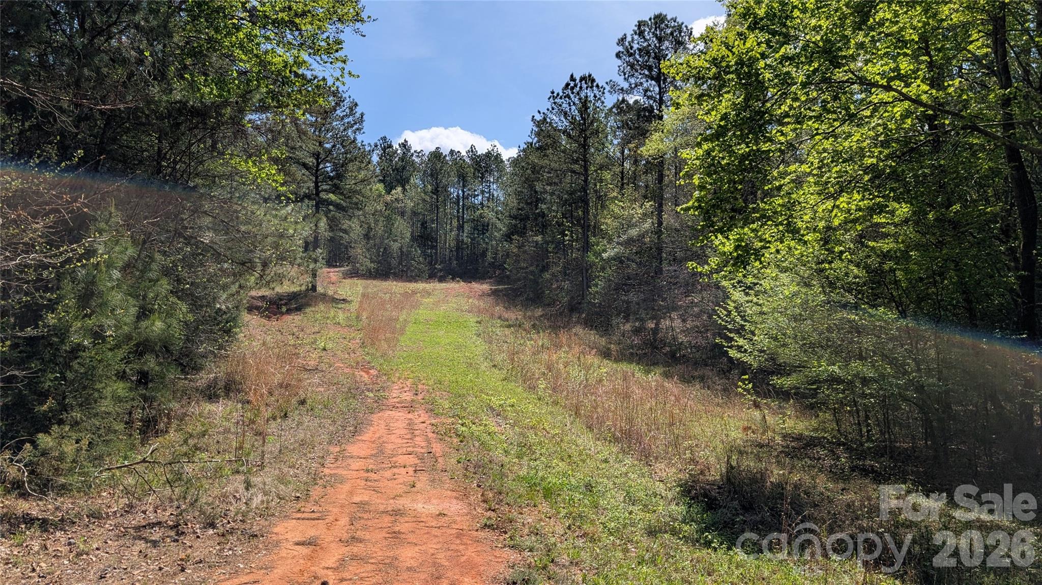 Tbd Boyd Road Blackstock, SC 29014 - Photo 21 of 21 a view of a pathway both side of yard