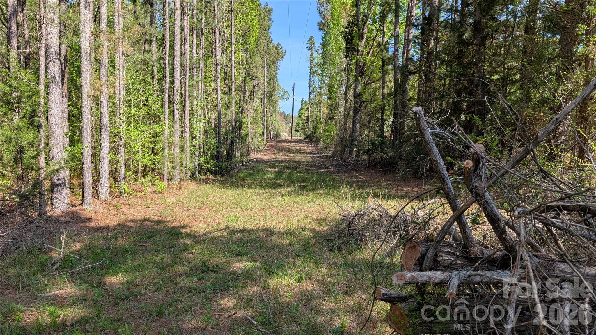 Tbd Boyd Road Blackstock, SC 29014 - Photo 5 of 21 a view of a yard with plants and large trees