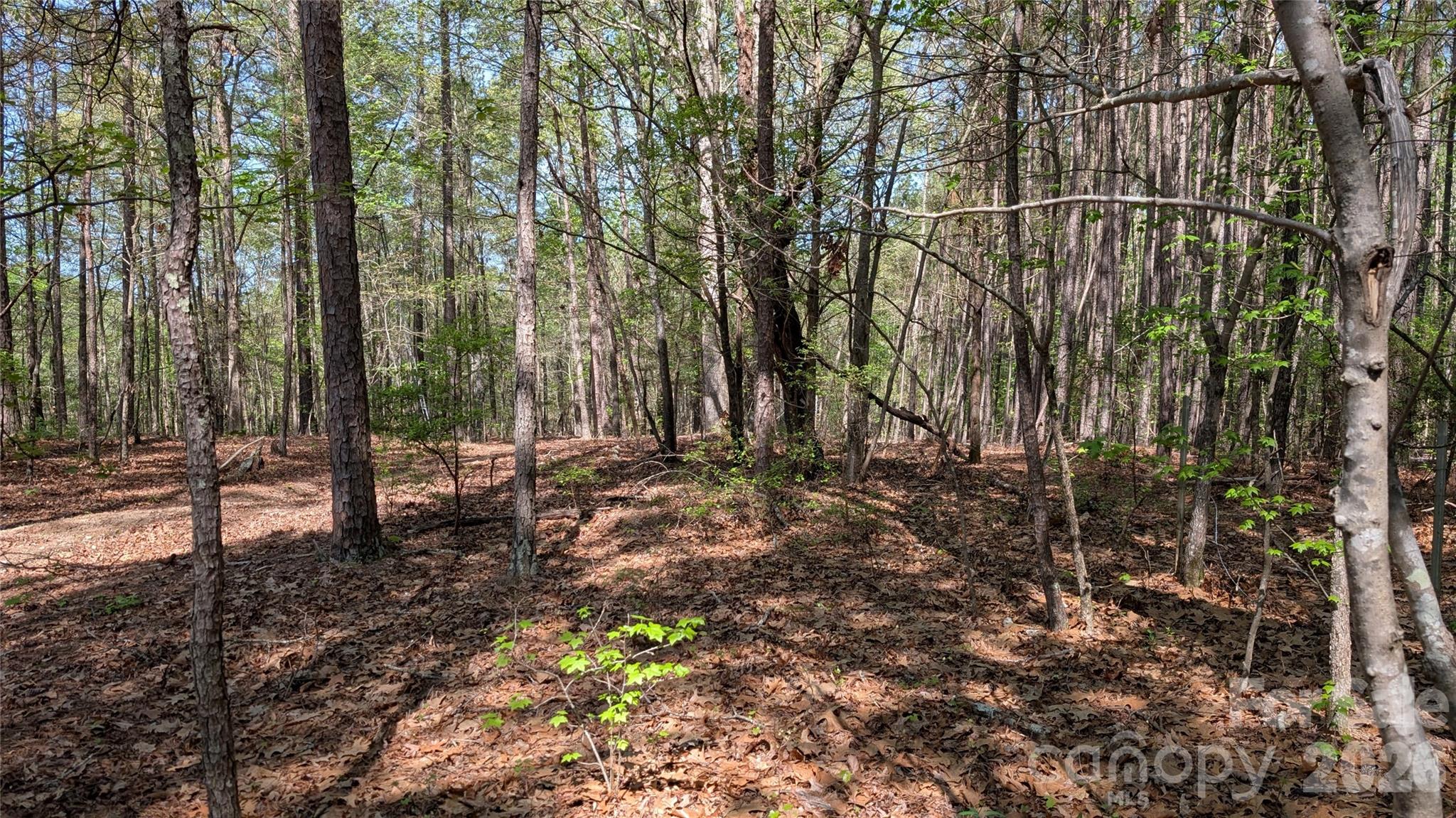 Tbd Boyd Road Blackstock, SC 29014 - Photo 7 of 21 a backyard of a house with lots of green space