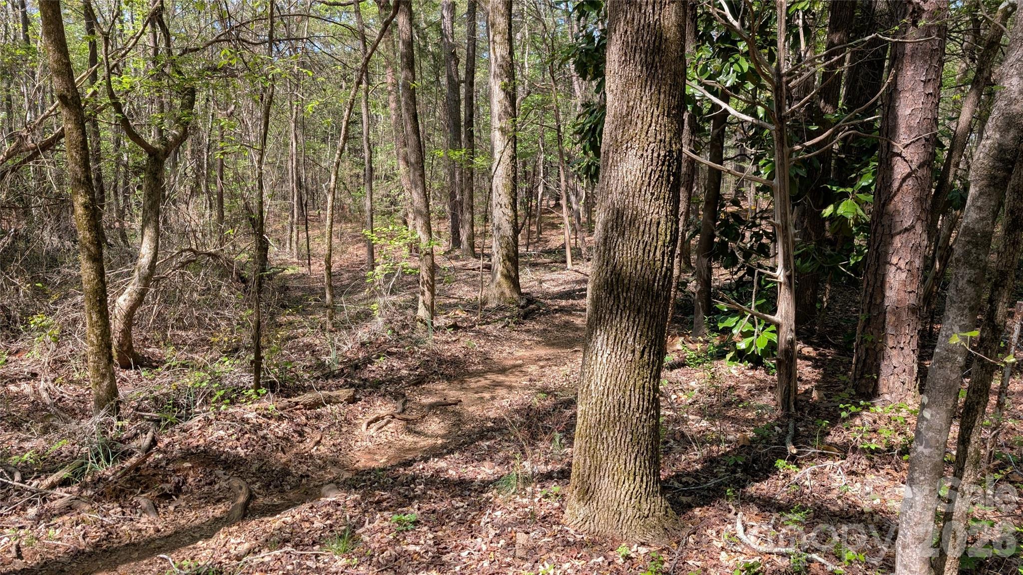 Tbd Boyd Road Blackstock, SC 29014 - Photo 8 of 21 a backyard of a house with lots of green space
