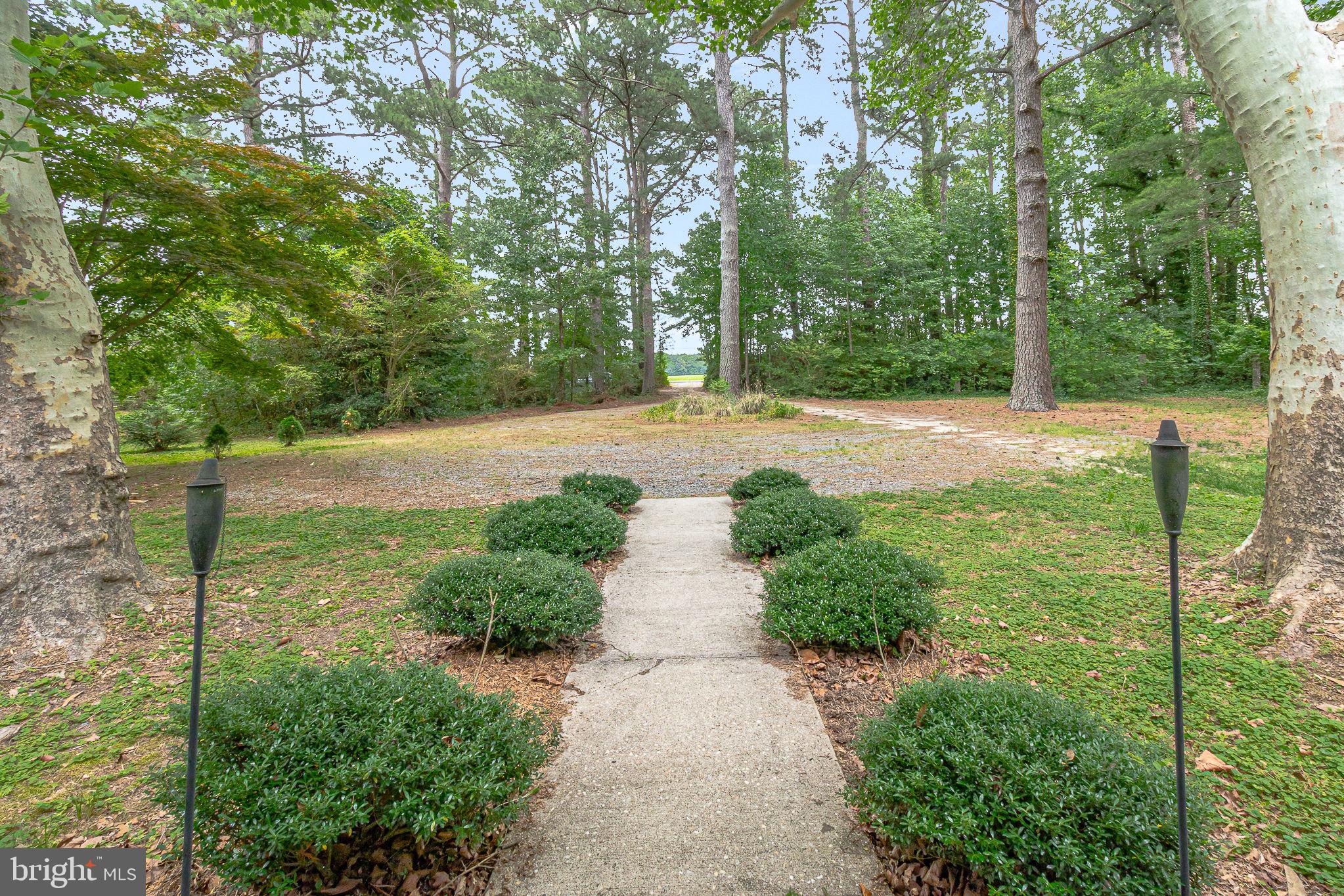 3952 Irvington Road Irvington, VA 22480 - Photo 42 of 77 a view of a yard with plants and large trees
