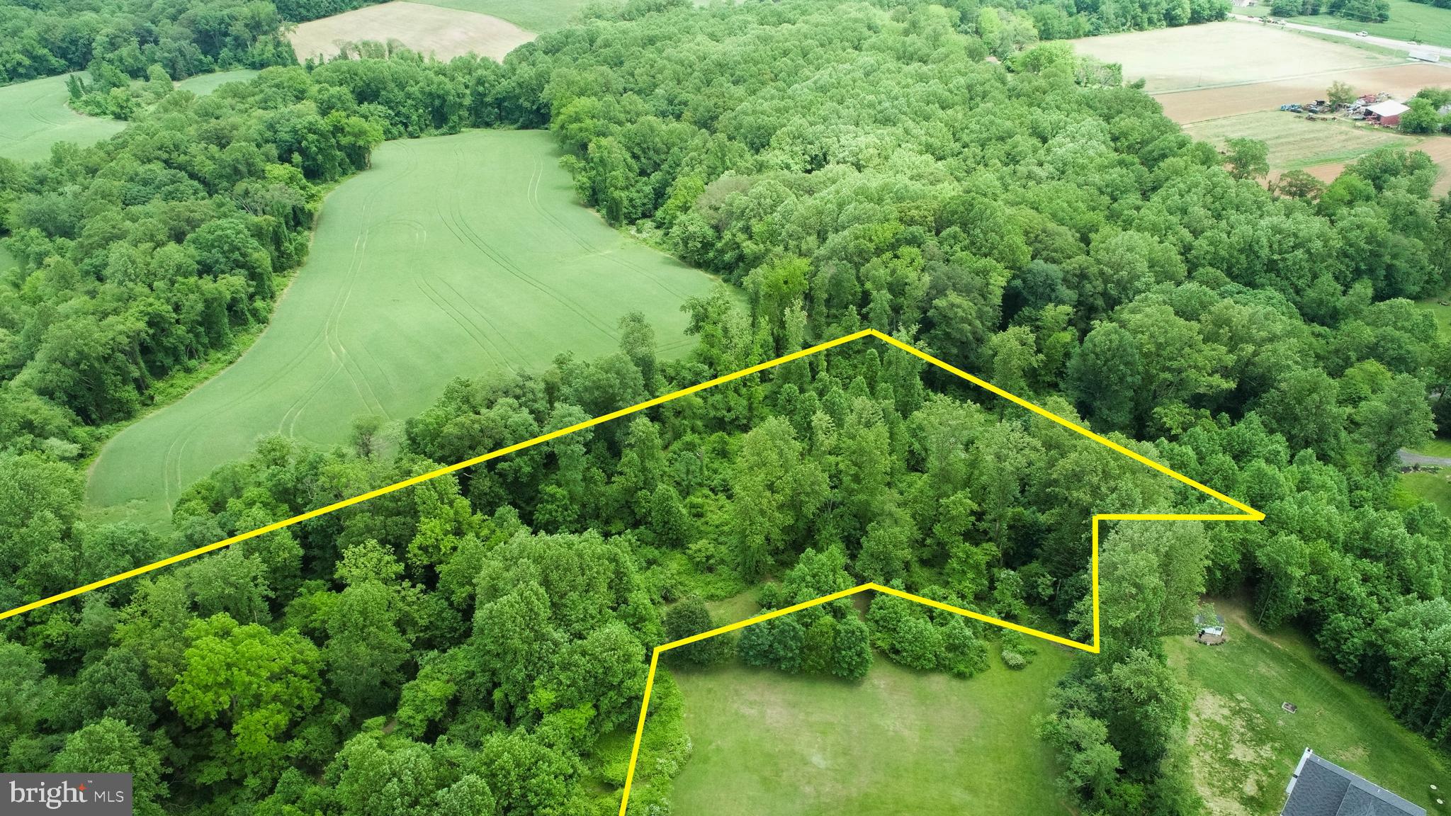 2229 A Ady Road Forest Hill, MD 21050 - Photo 63 of 75 a backyard of a house with lots of green space and plants