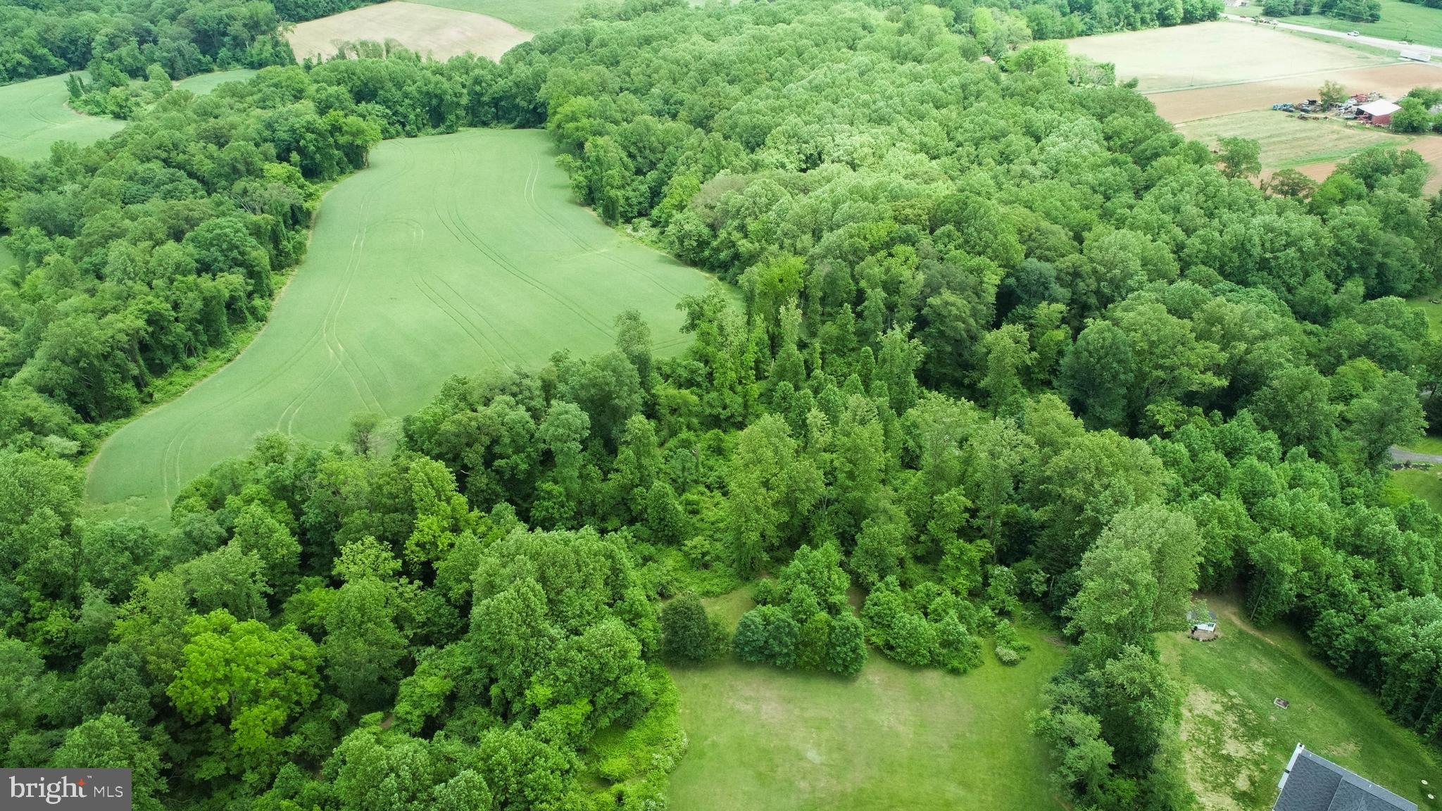 2229 A Ady Road Forest Hill, MD 21050 - Photo 64 of 75 a view of a lush green forest with lots of trees