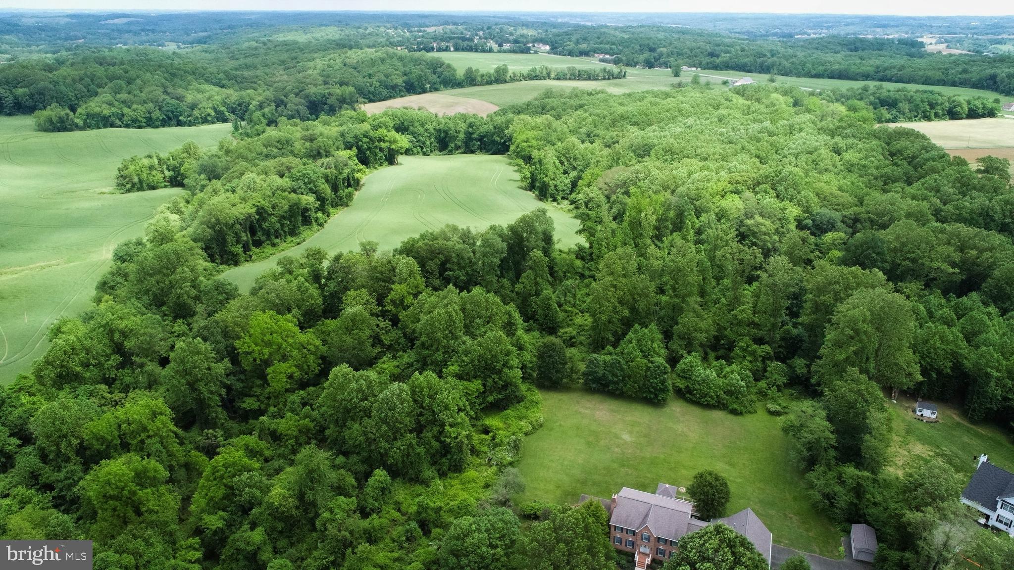2229 A Ady Road Forest Hill, MD 21050 - Photo 66 of 75 a view of a lush green forest with lots of trees