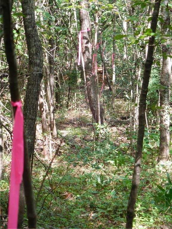 0 Ridgecrest Drive Morganton, NC 28655 - Photo 3 of 30 Gallery Image 3