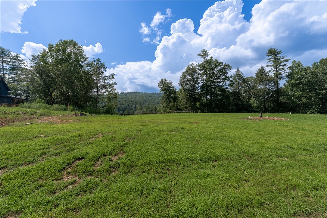 431 Horse Pasture Road Sunset, SC 29685 - Photo 14 of 19