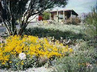 921 East Chula Vista Road Tucson, AZ 85718 - Photo 2 of 6