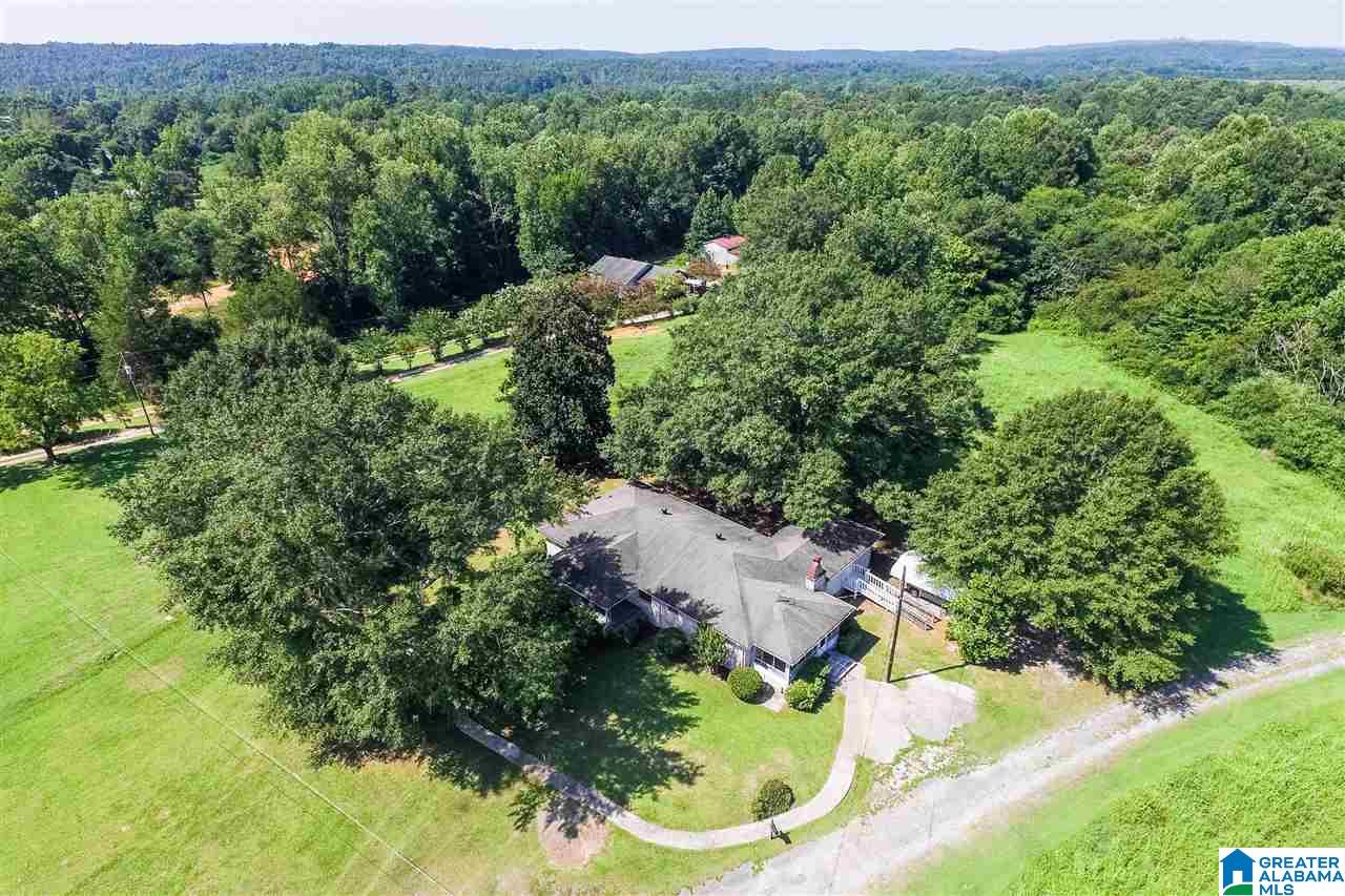 2381 Stella Lockard Road Empire, AL 35063 - Photo 39 of 43