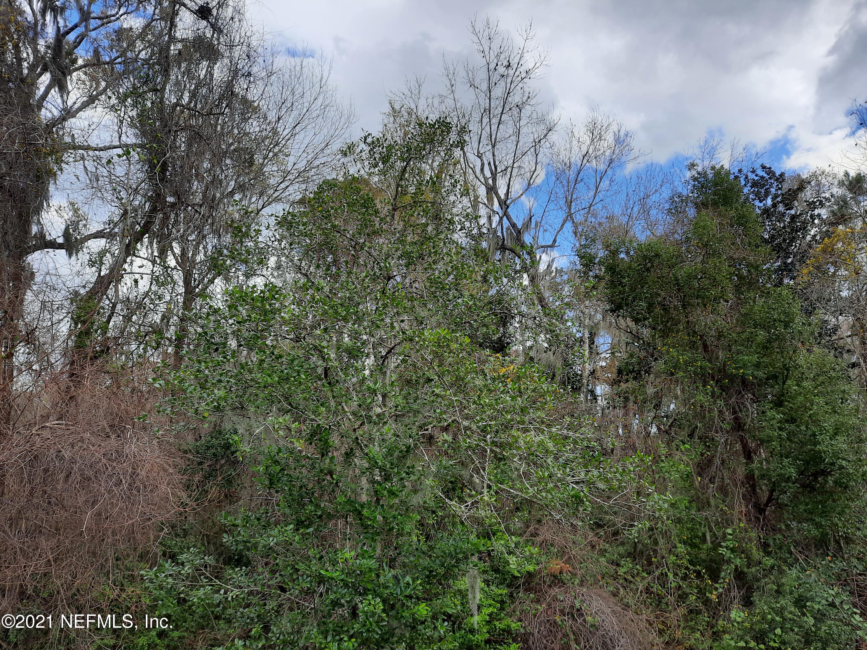 0 Yulee Hills Road East Yulee, FL 32097 - Photo 5 of 6 Yulee Hills 2