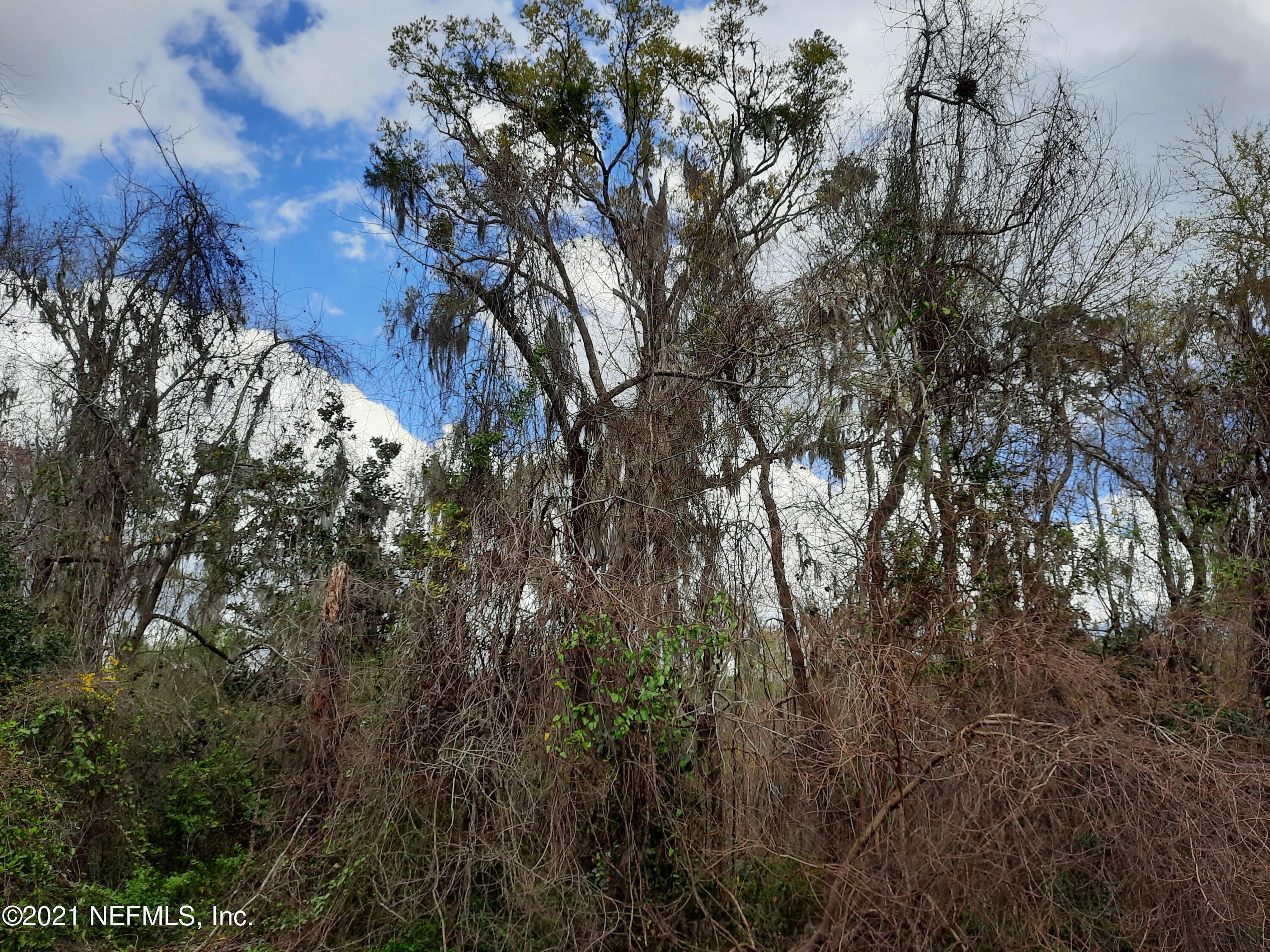 0 Yulee Hills Road East Yulee, FL 32097 - Photo 6 of 6 Yulee Hills 1