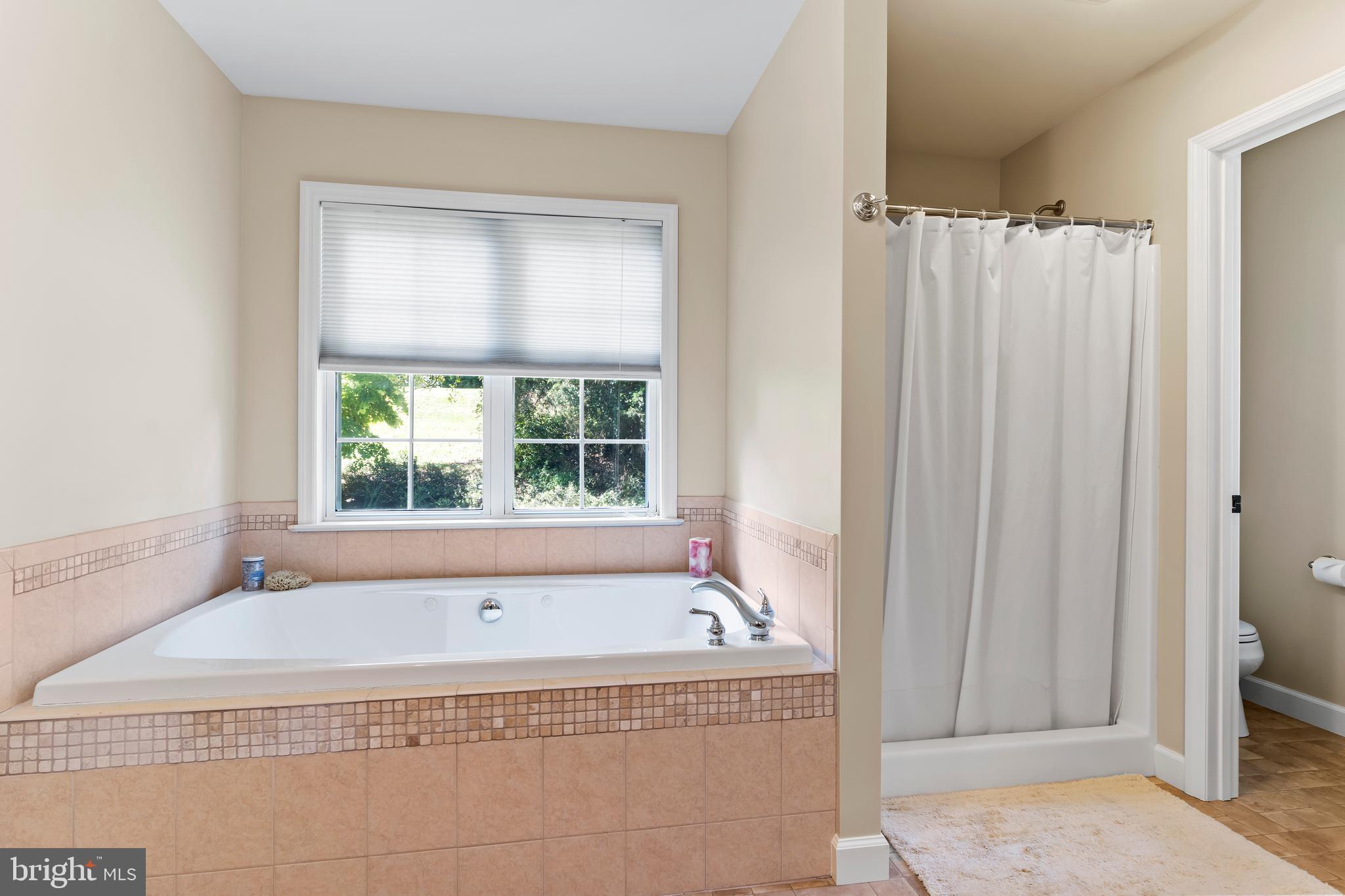 565 Nauvoo Road Lewisberry, PA 17339 - Photo 27 of 40 Large soaking tub with separate shower