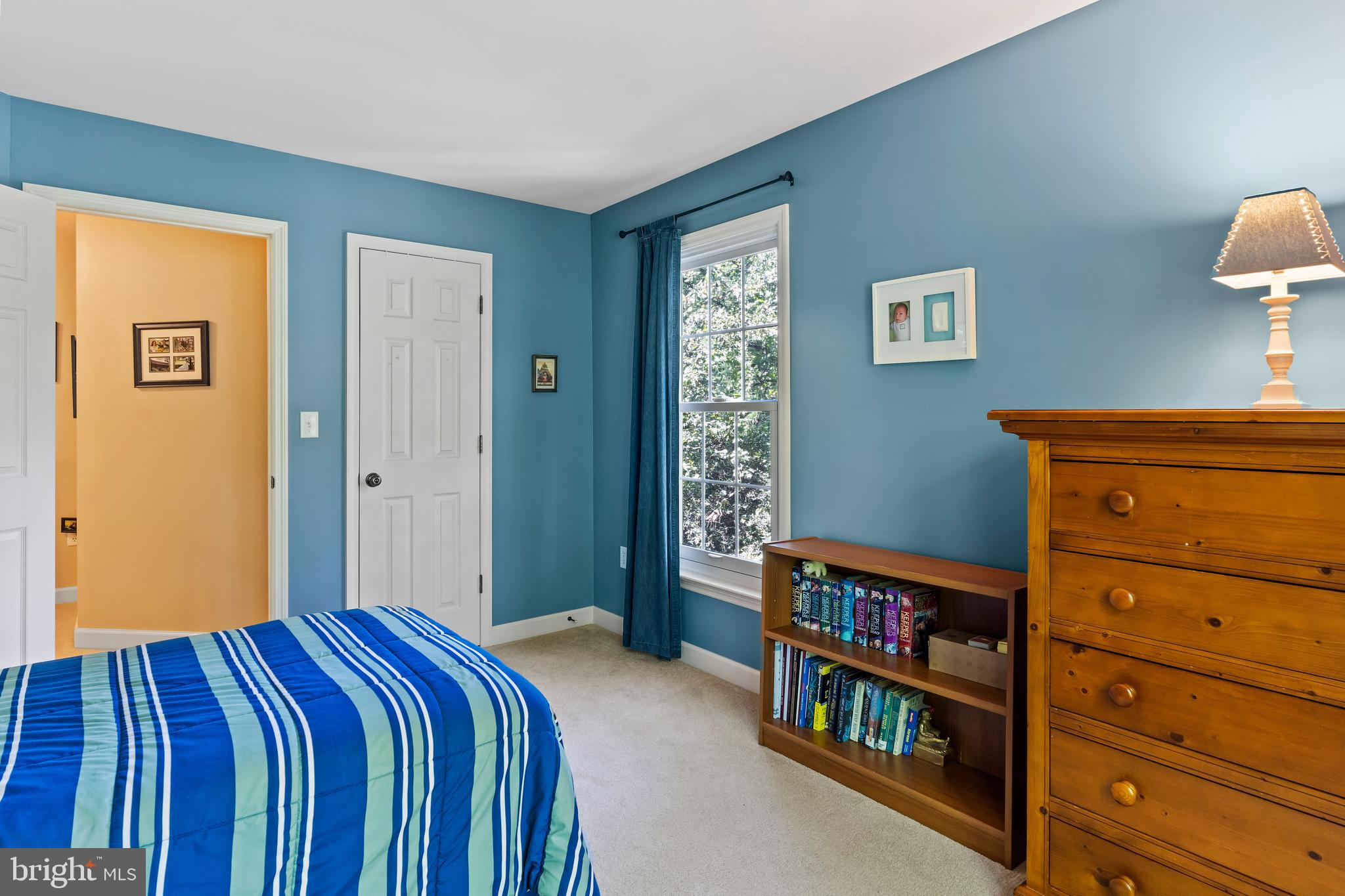 565 Nauvoo Road Lewisberry, PA 17339 - Photo 29 of 40 Plenty of storage in a walk in closet
