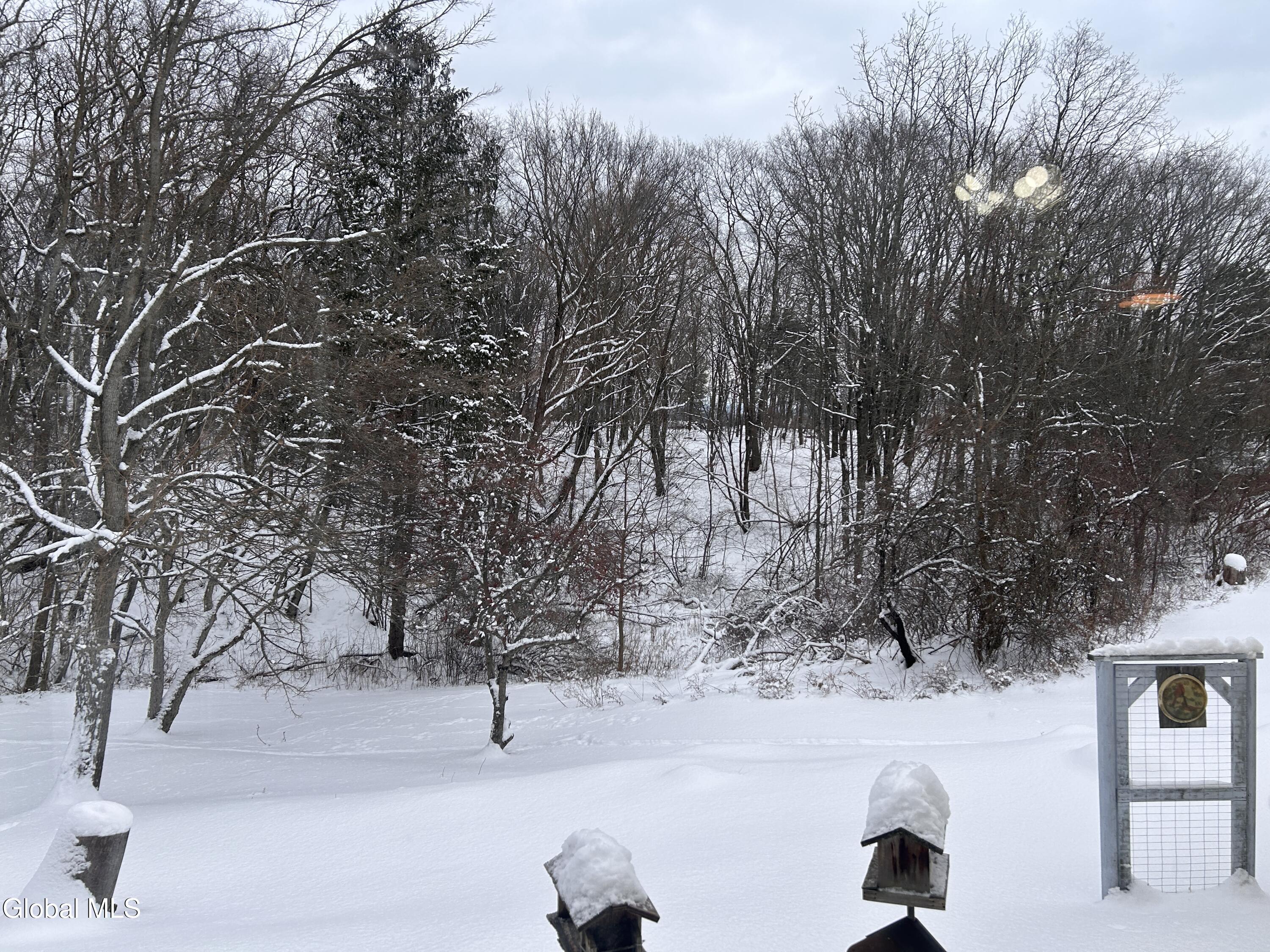 730 Sacandaga Road Glenville, NY 12302 - Photo 48 of 54 IMG_4075