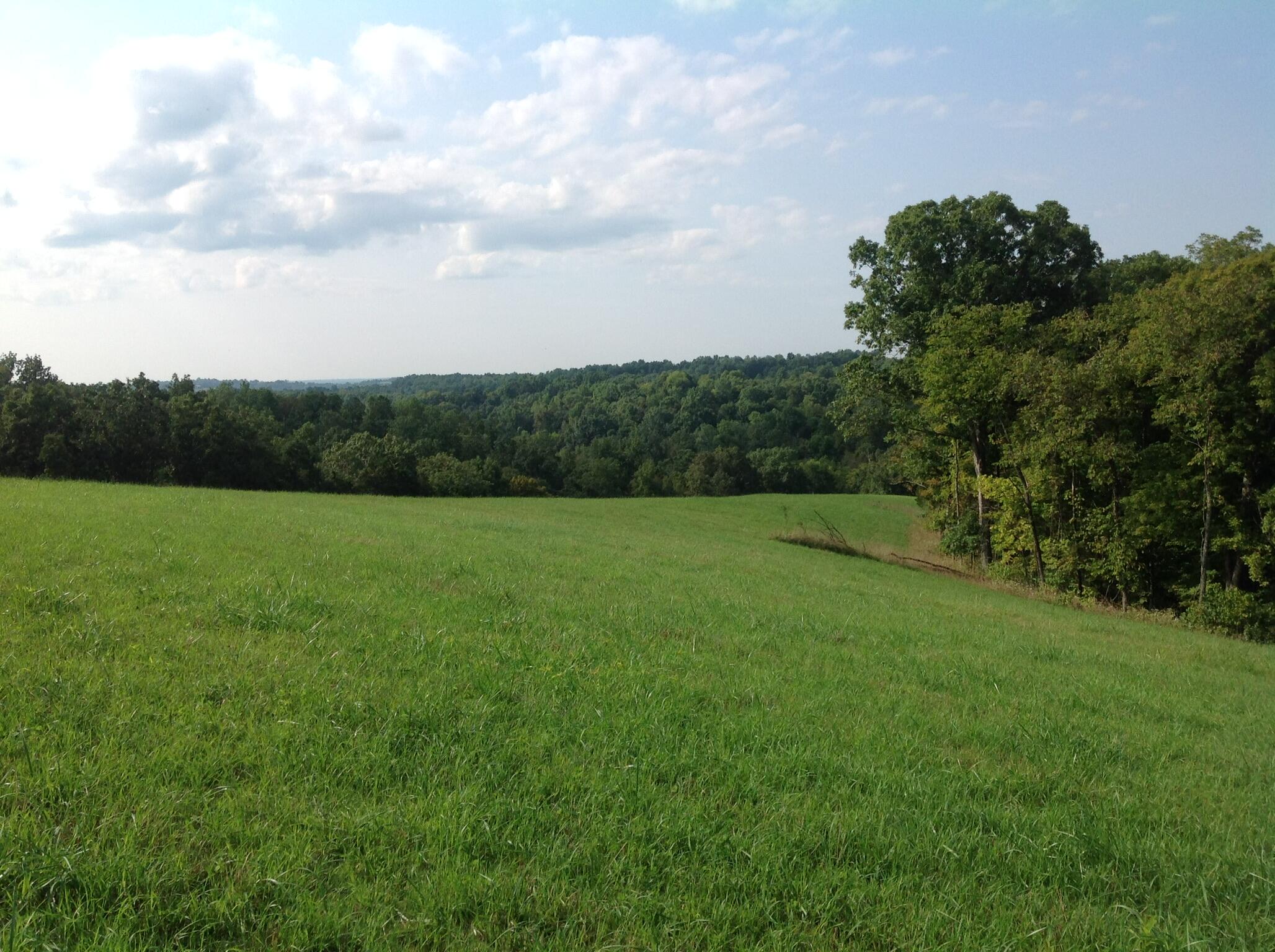 698 Ogden Ridge Road Mount Olivet, KY 41064 - Photo 1 of 12 Gallery Image 1