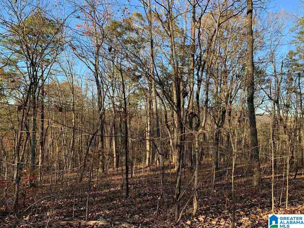 240 Larkhaven Lane, Unit 20 ACRES Springville, AL 35146 - Photo 10 of 17
