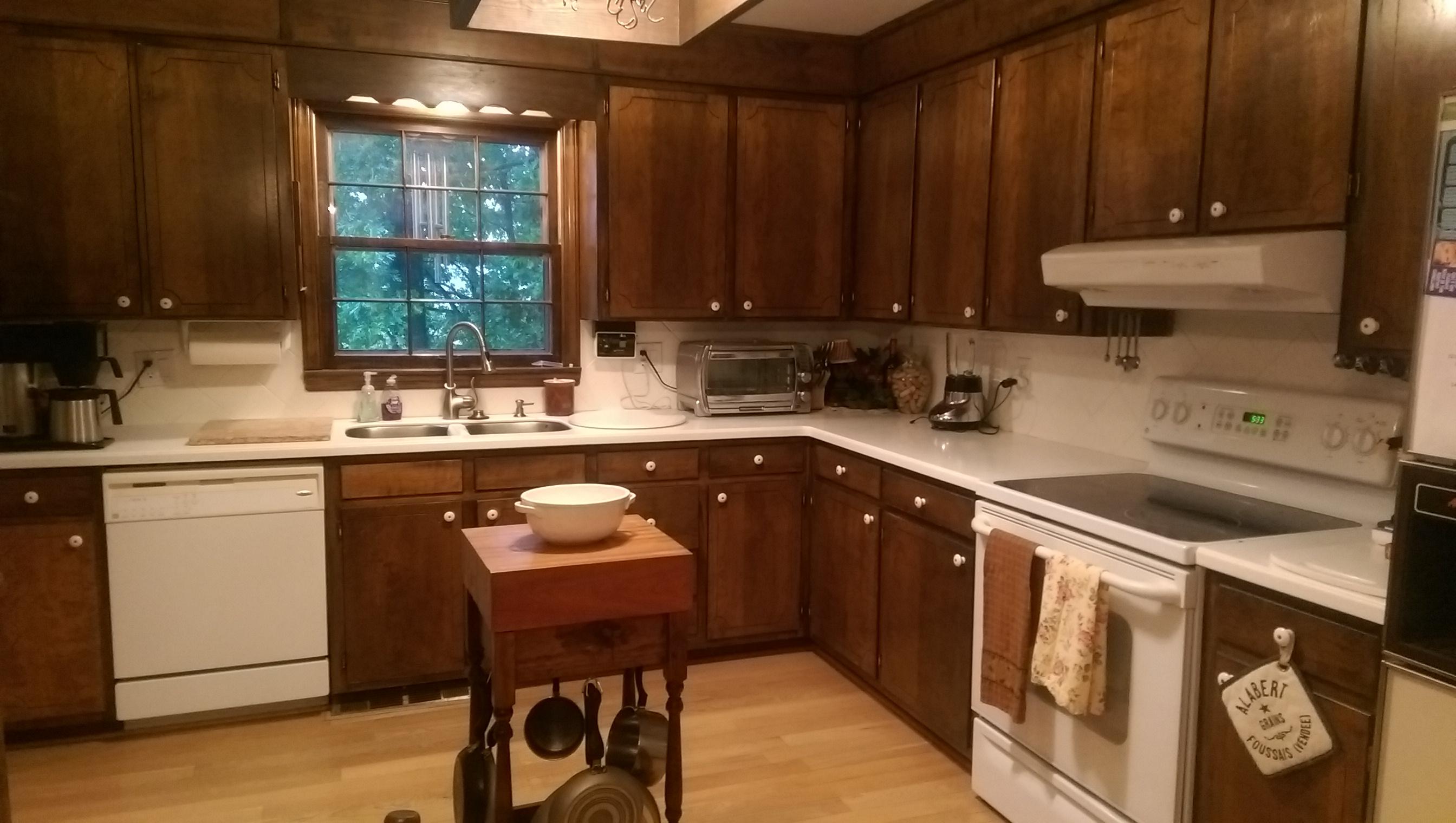 1125 Oak Ridge Road Buchanan, VA 24066 - Photo 4 of 23 kitchen1