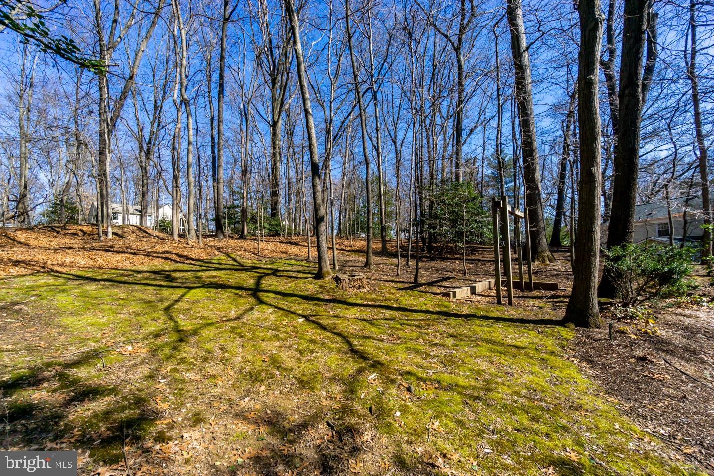 11416 Running Cedar Road Reston, VA 20191 - Photo 5 of 43 VIEW OF YARD