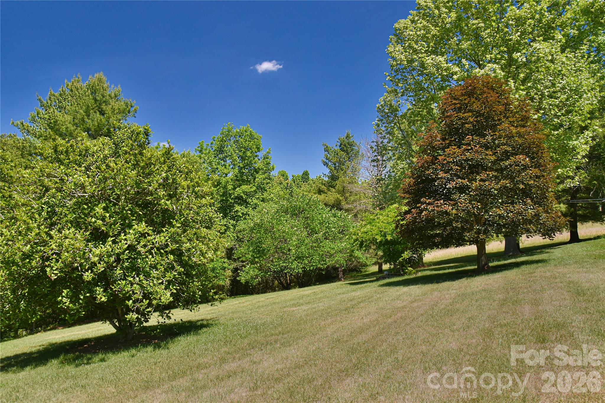 518 Forest Ridge Road Mars Hill, NC 28754 - Photo 43 of 47
