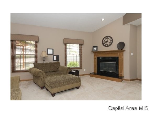 6109 Willow Springs Road Springfield, IL 62712 - Photo 3 of 17