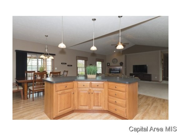 6109 Willow Springs Road Springfield, IL 62712 - Photo 8 of 17