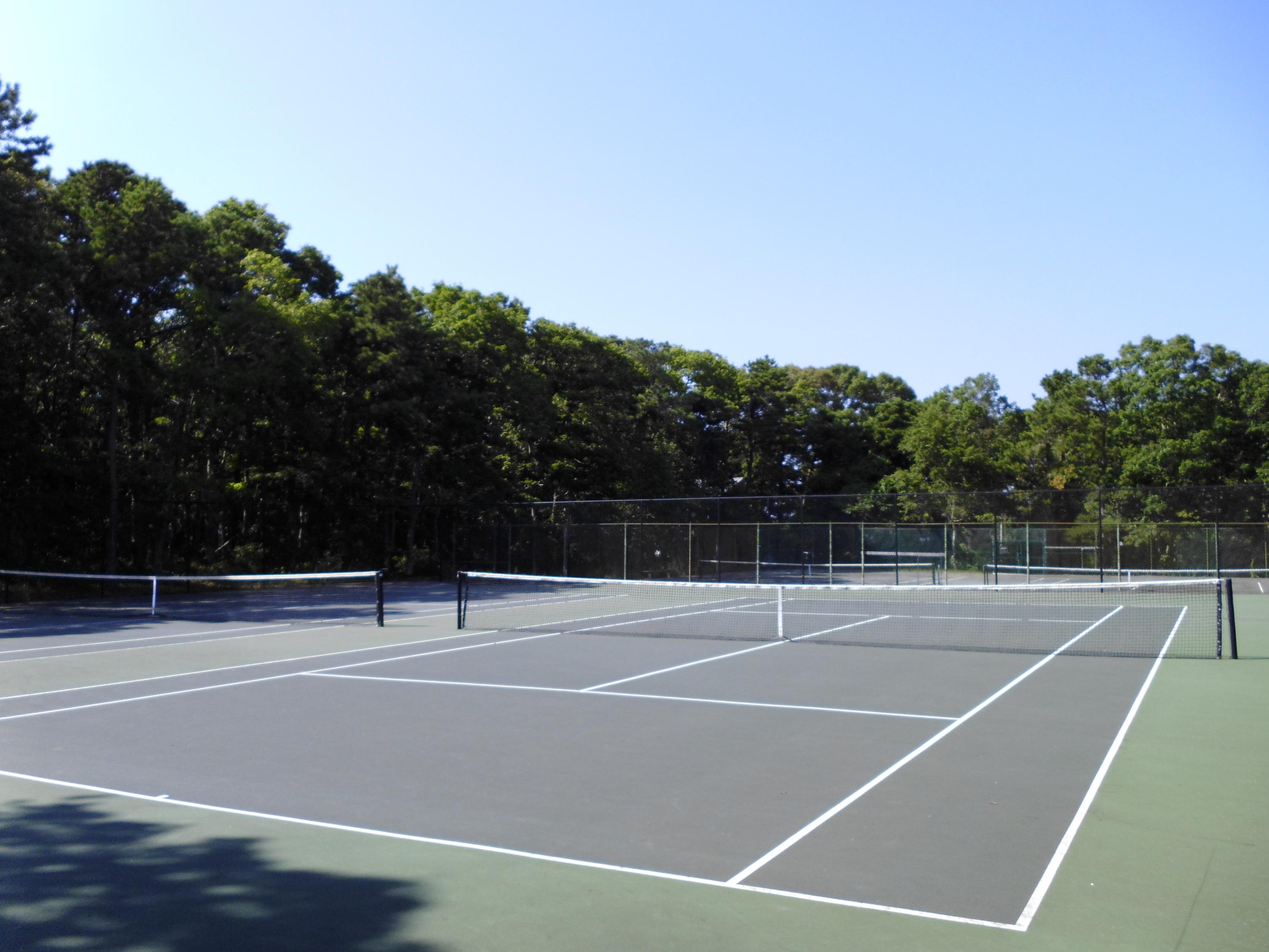 5 Pasture Road Cataumet, MA 02534 - Photo 43 of 52 a view of tennis court with trees in the background
