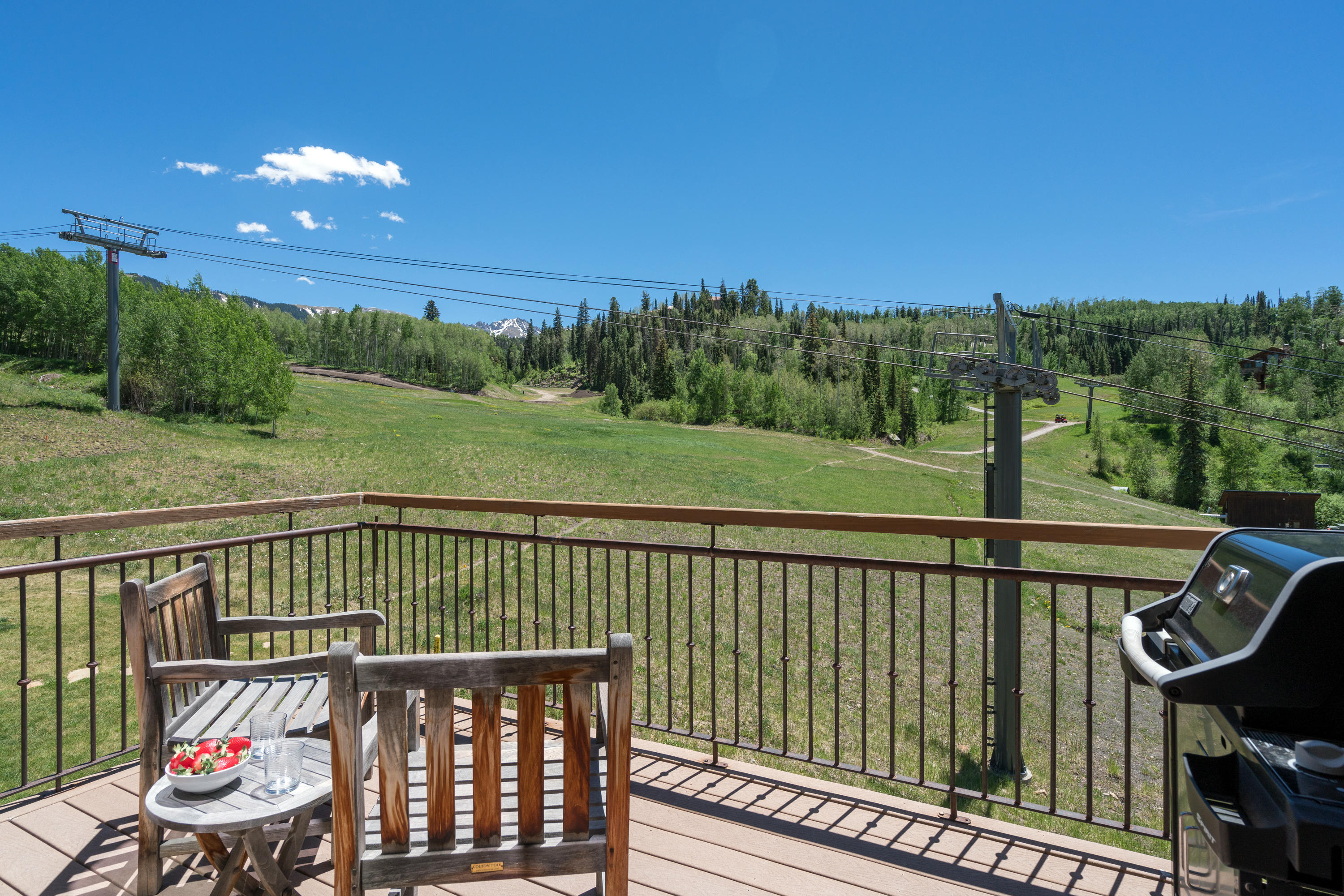 333 Adams Ranch Road, Unit 1102 Mountain Village, CO 81435 - Photo 7 of 17 7-telluride-terraces-1102-patio-summer