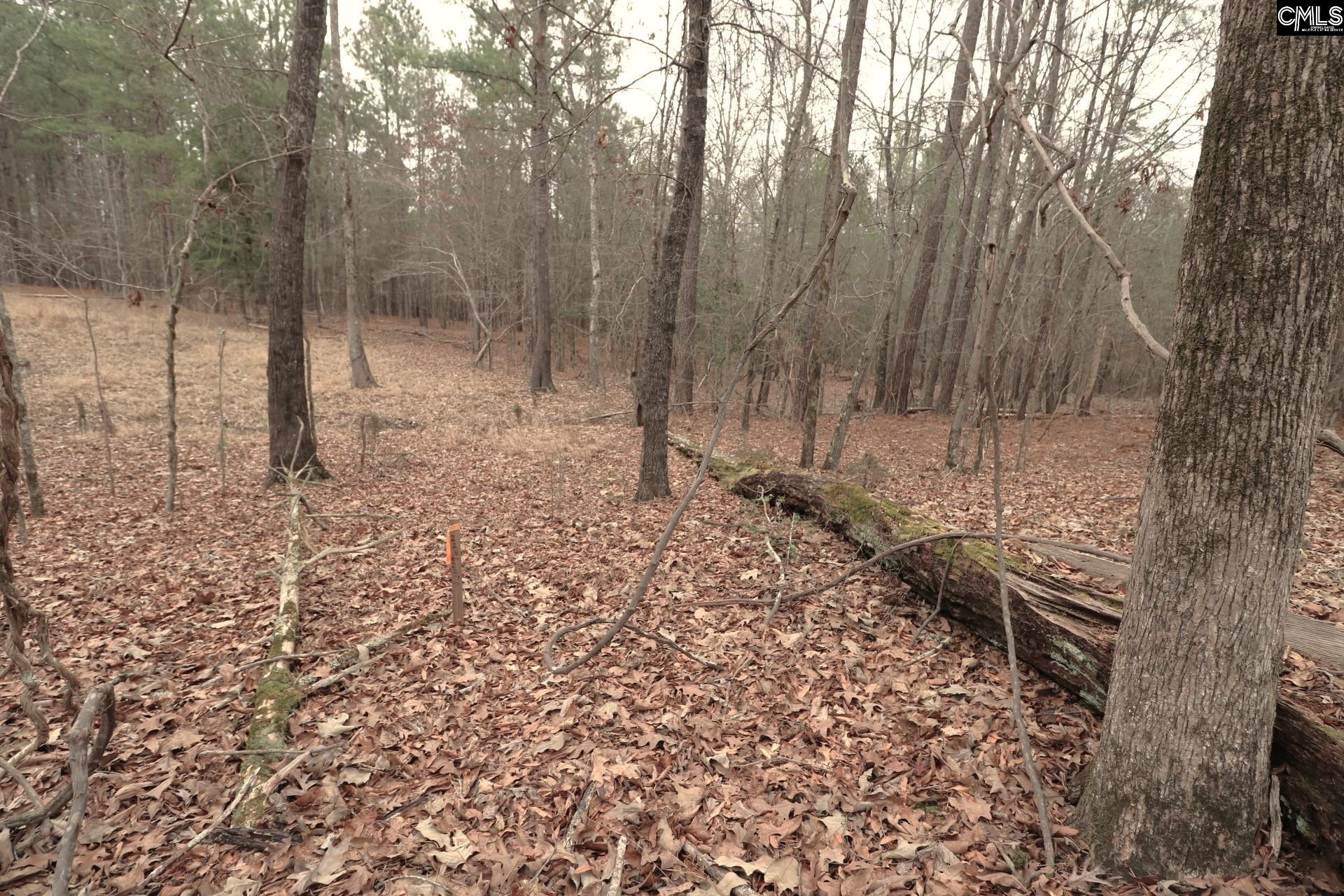 Lot 229 Granny Hill Road Prosperity, SC 29127 - Photo 60 of 61