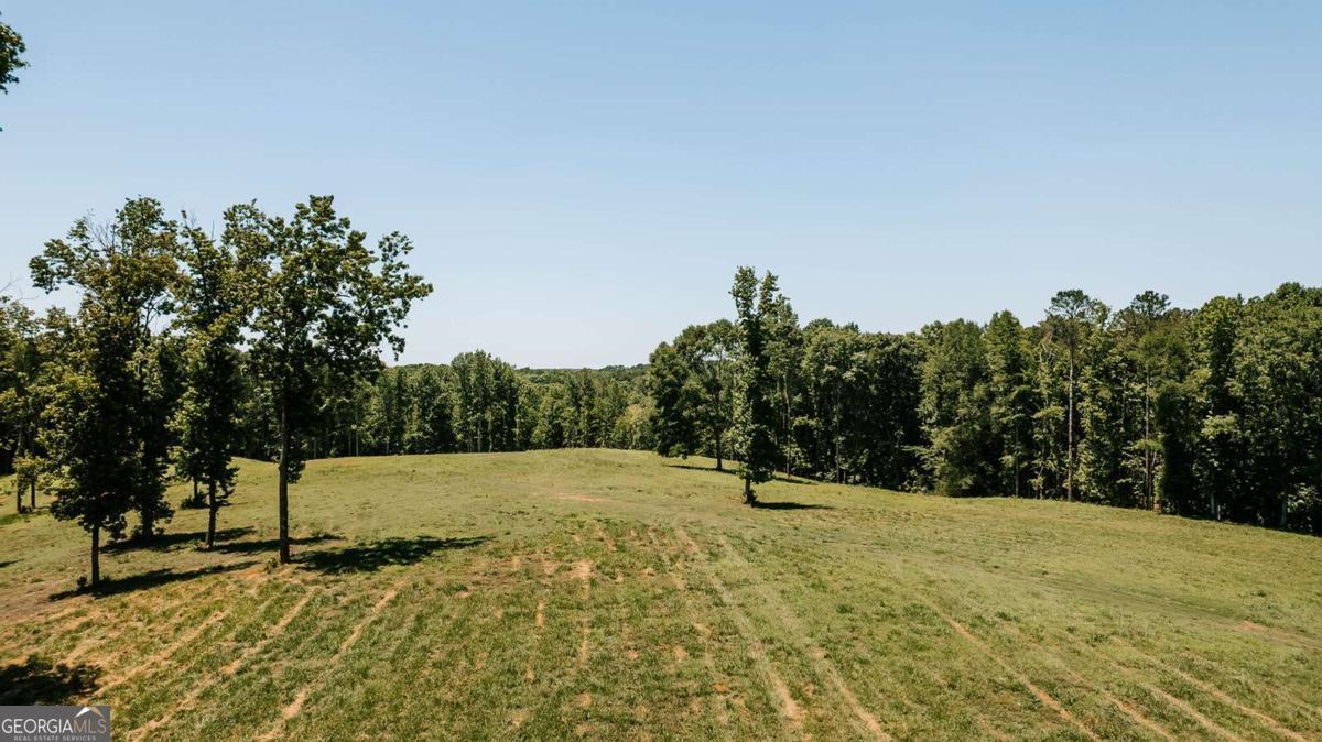 0 Mitchell Farm Road Colbert, GA 30628 - Photo 12 of 45