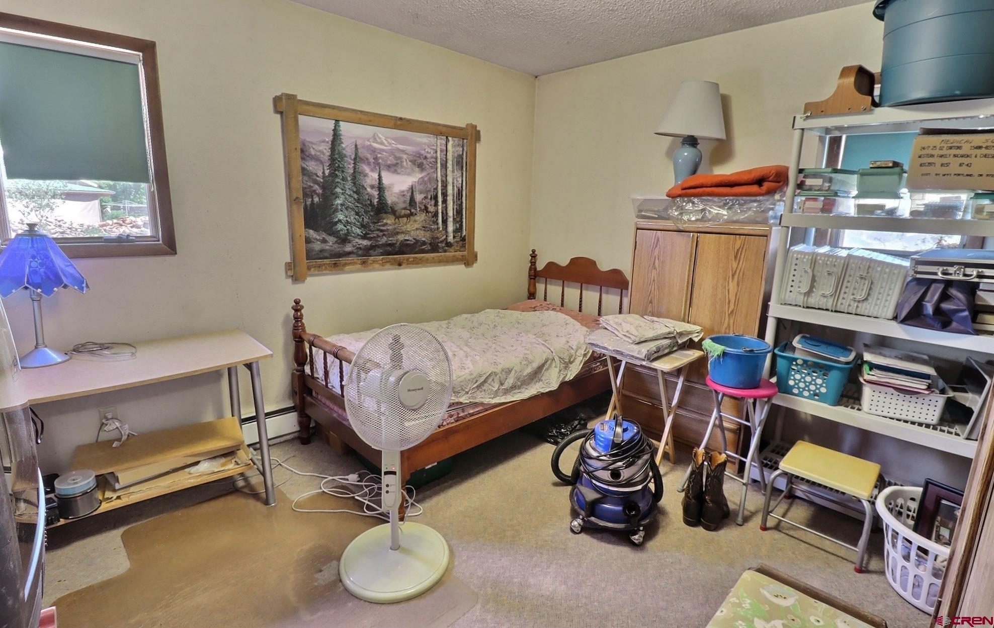 12303 West Spring Circle Eckert, CO 81418 - Photo 13 of 26 a bedroom with furniture and a wooden floor