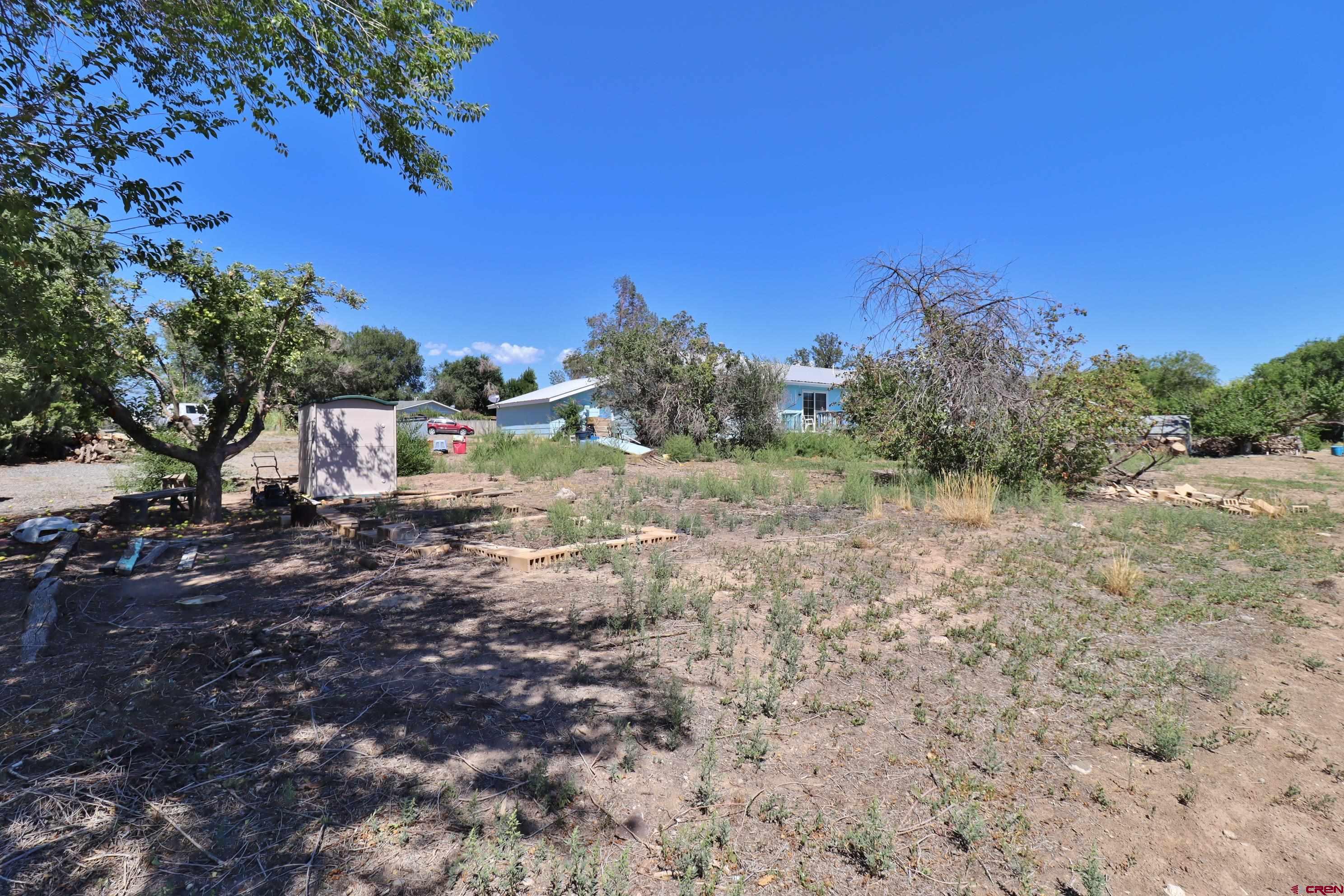 12303 West Spring Circle Eckert, CO 81418 - Photo 17 of 26 a view of a yard with a tree