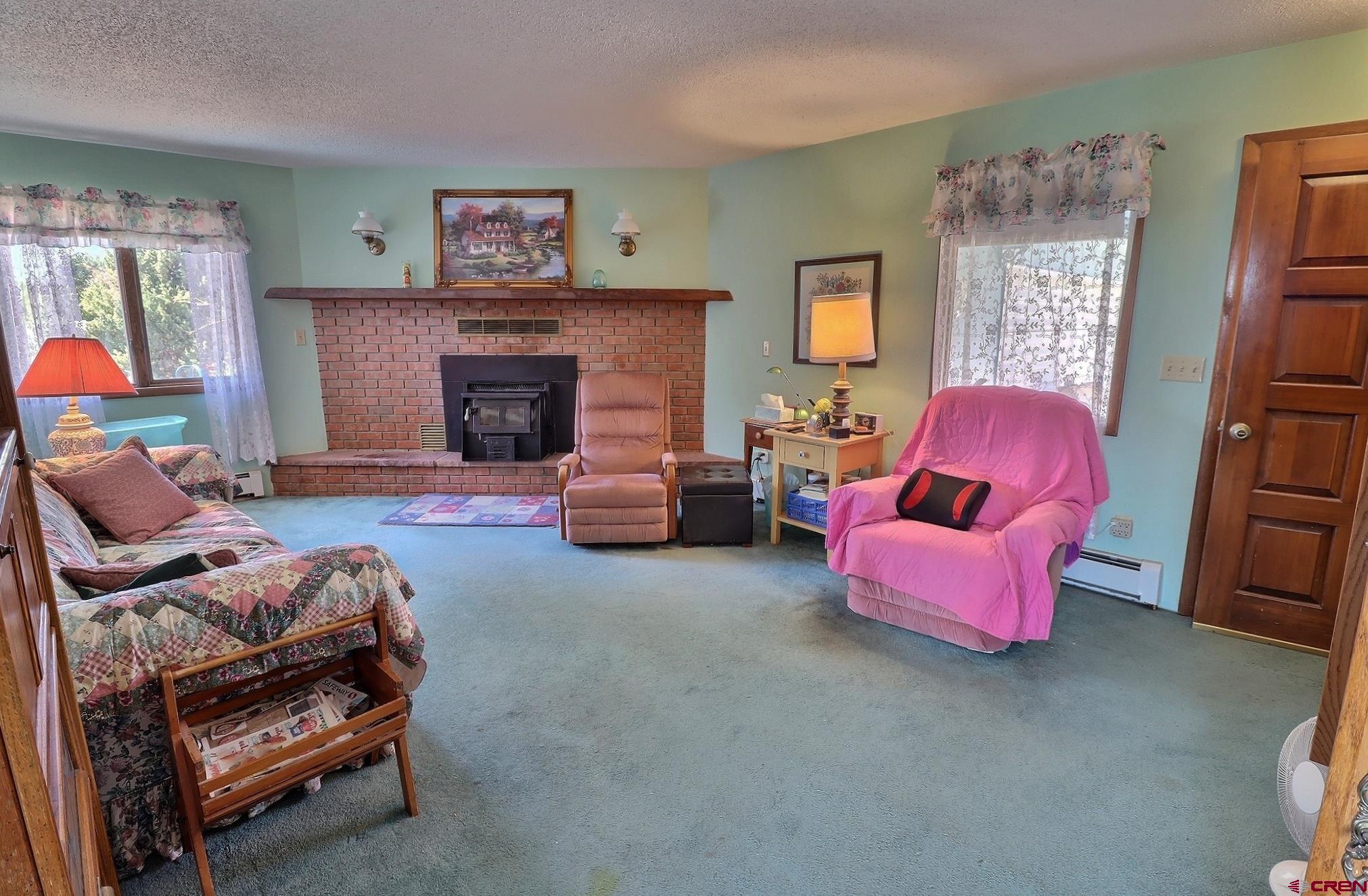 12303 West Spring Circle Eckert, CO 81418 - Photo 3 of 26 a living room with furniture and a fireplace