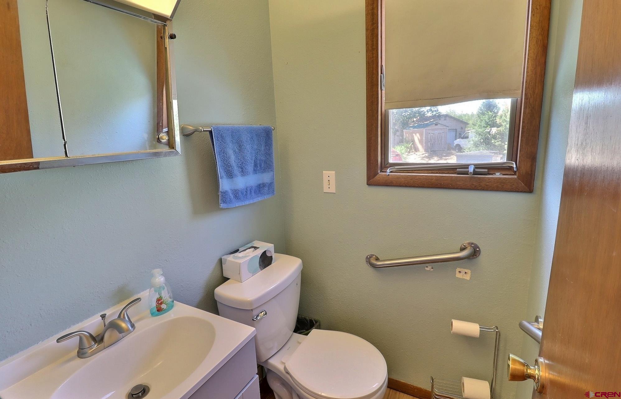 12303 West Spring Circle Eckert, CO 81418 - Photo 9 of 26 a bathroom with a toilet a sink and mirror