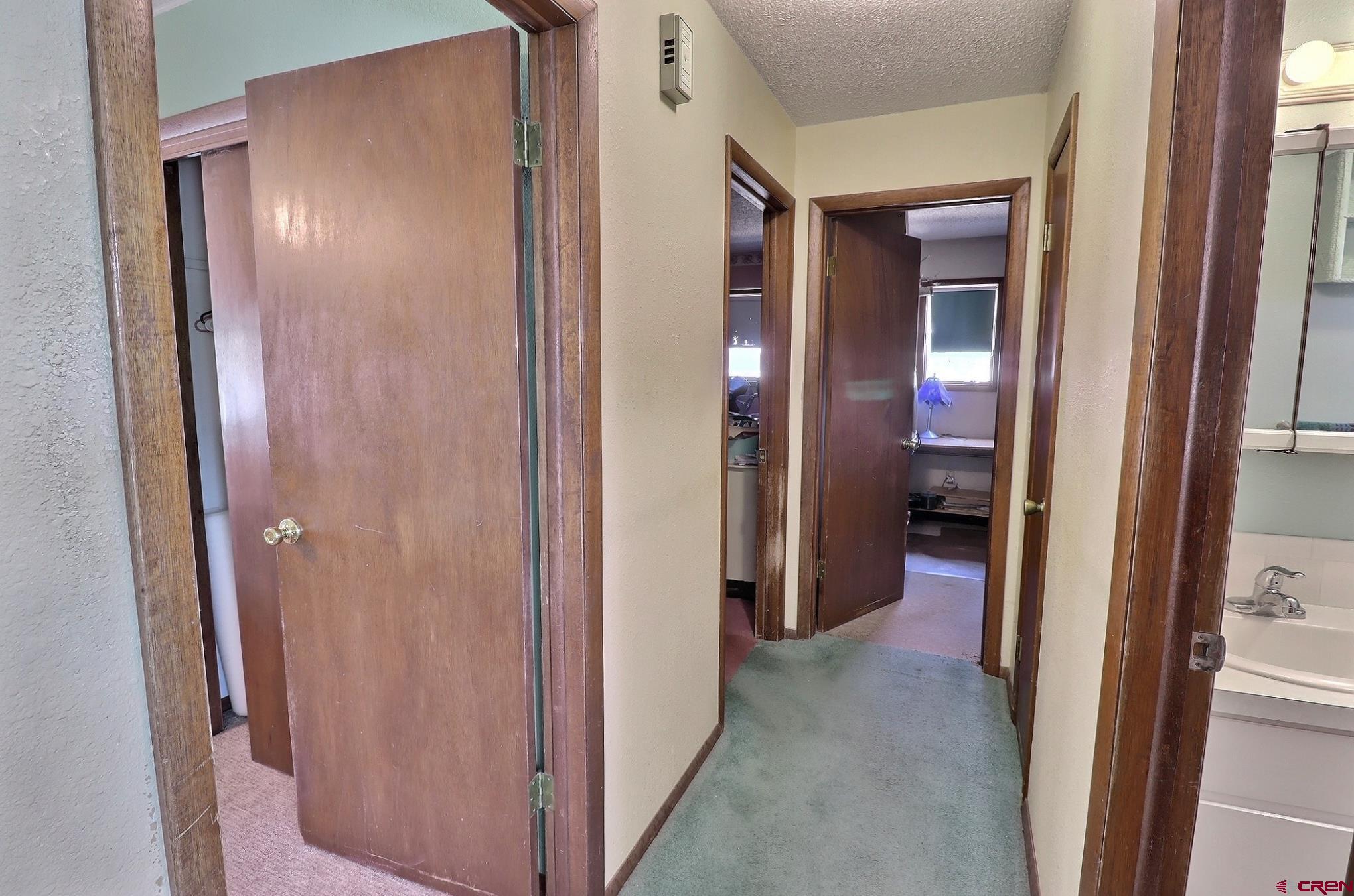 12303 West Spring Circle Eckert, CO 81418 - Photo 10 of 26 a view of a hallway and closet area