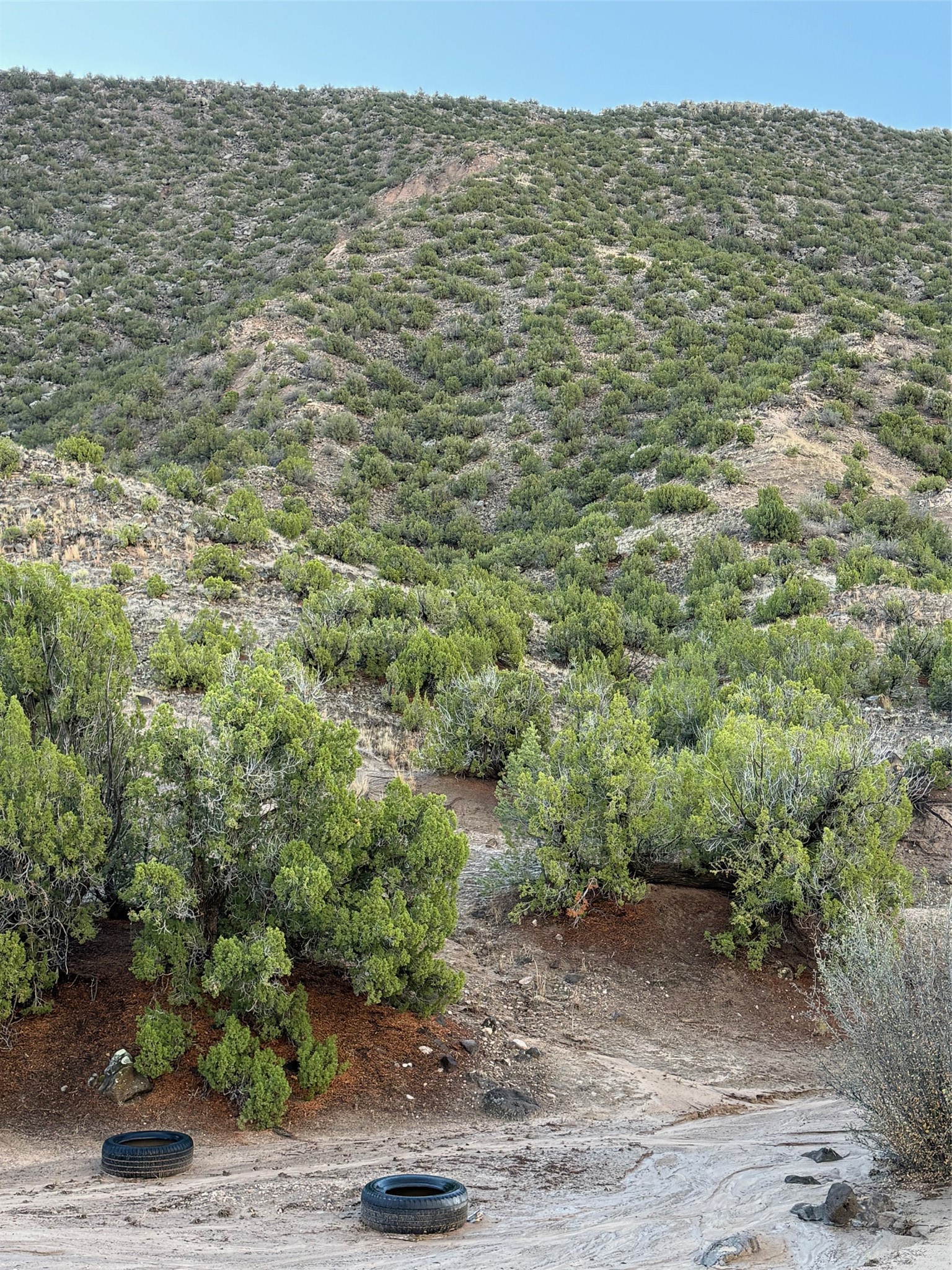Tbd Lot 3 Tbd Road Ojo Caliente, NM 87549 - Photo 4 of 24