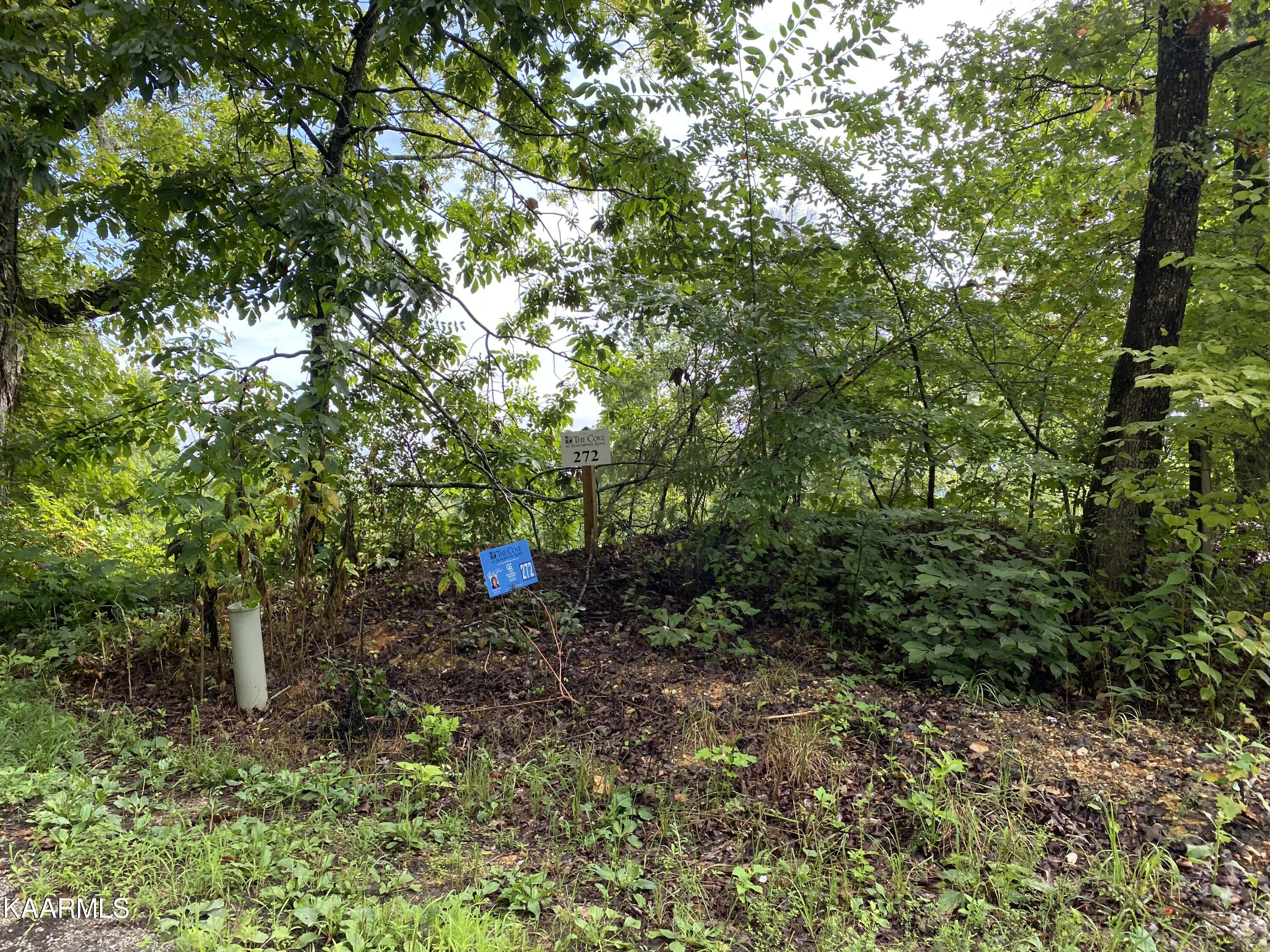 4556 Huffine Road Loudon, TN 37774 - Photo 3 of 14 lot 272